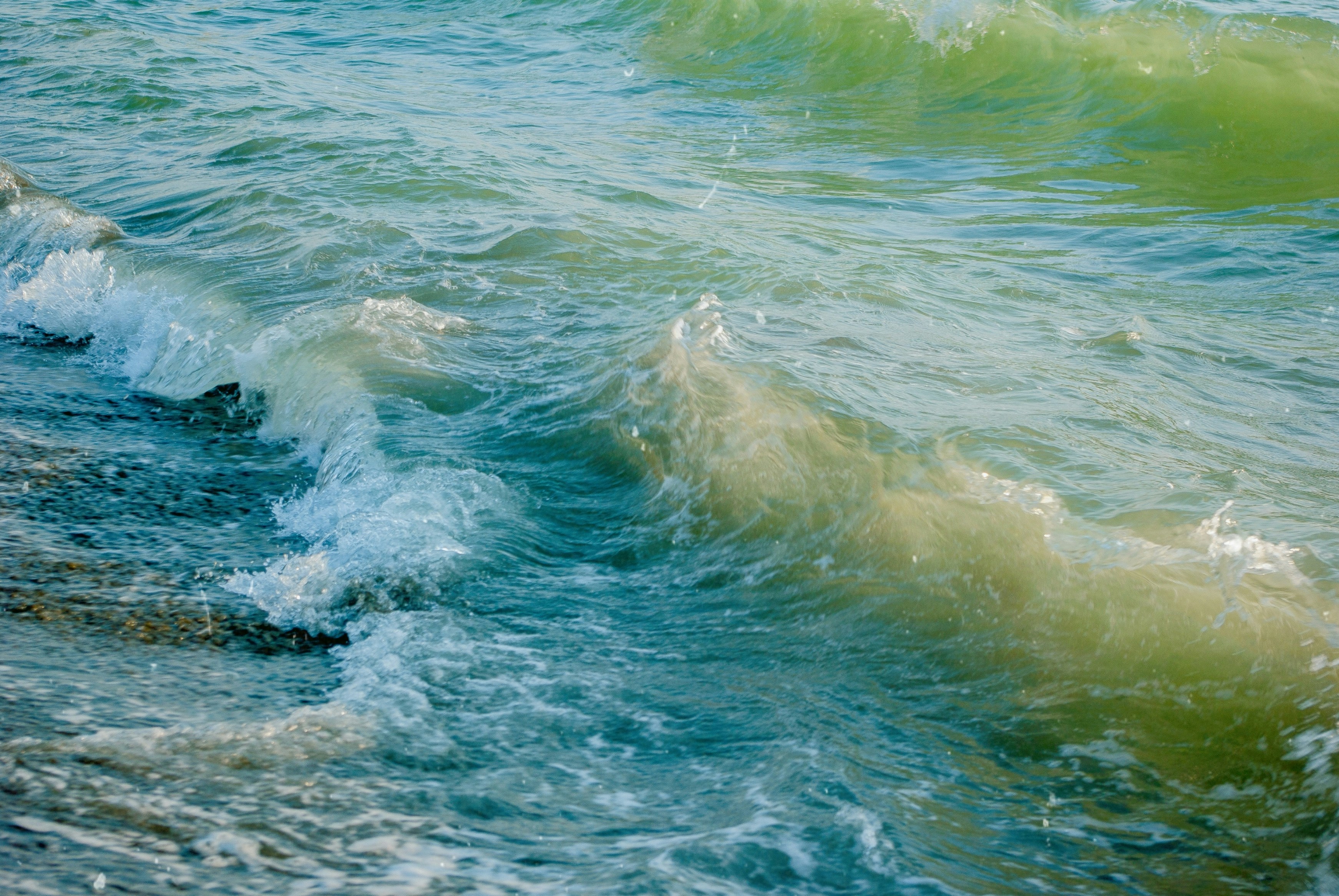 Photo by moonmoons_days