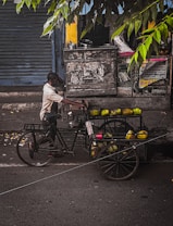 A street vendor pushes a tricycle cart filled with coconuts along a paved road. The cart has a metal frame and large wheels, and the vendor wears casual clothing. A closed shop with a shutter is in the background, and leafy branches hang above, partly obscuring the scene.