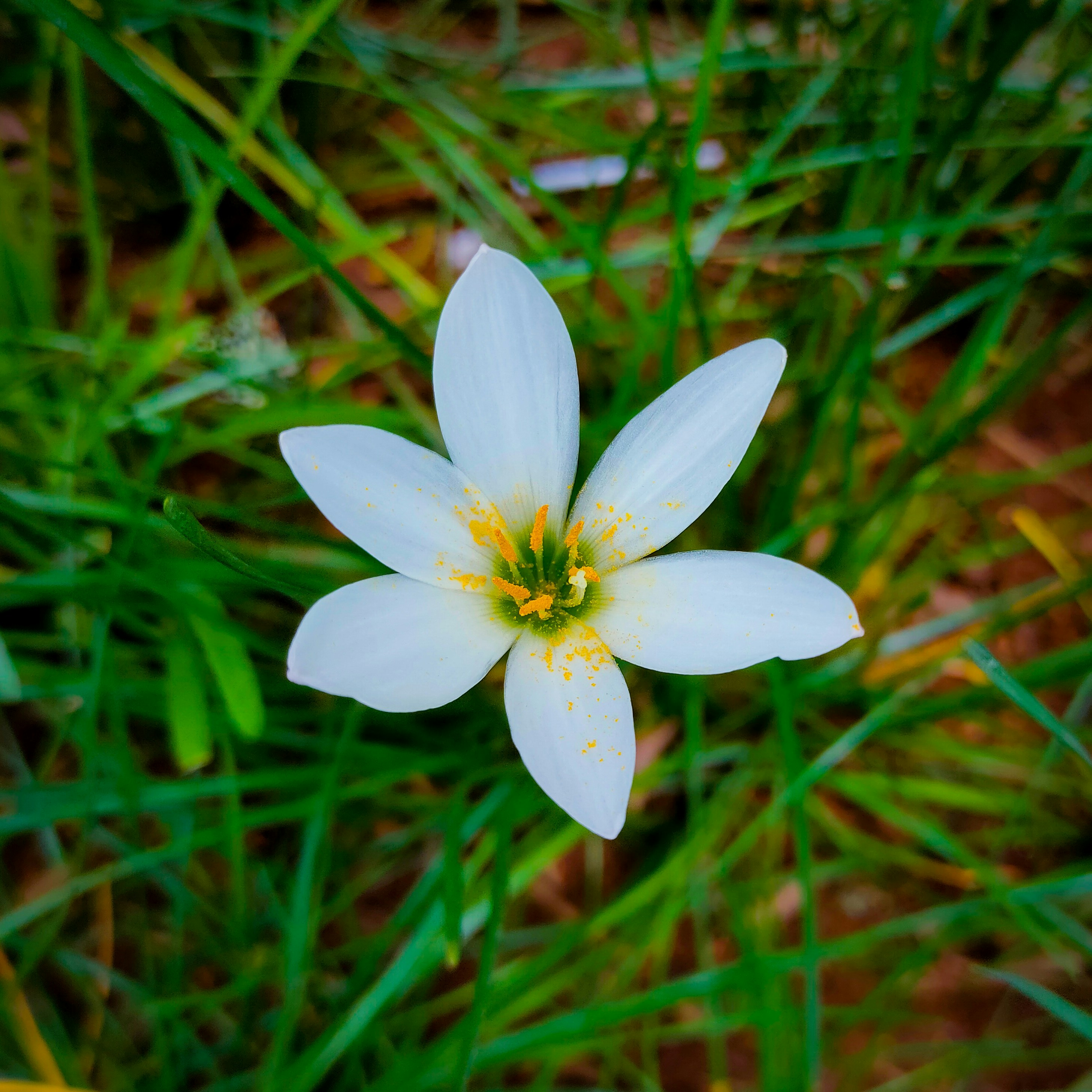 Photo by anandramavath_786