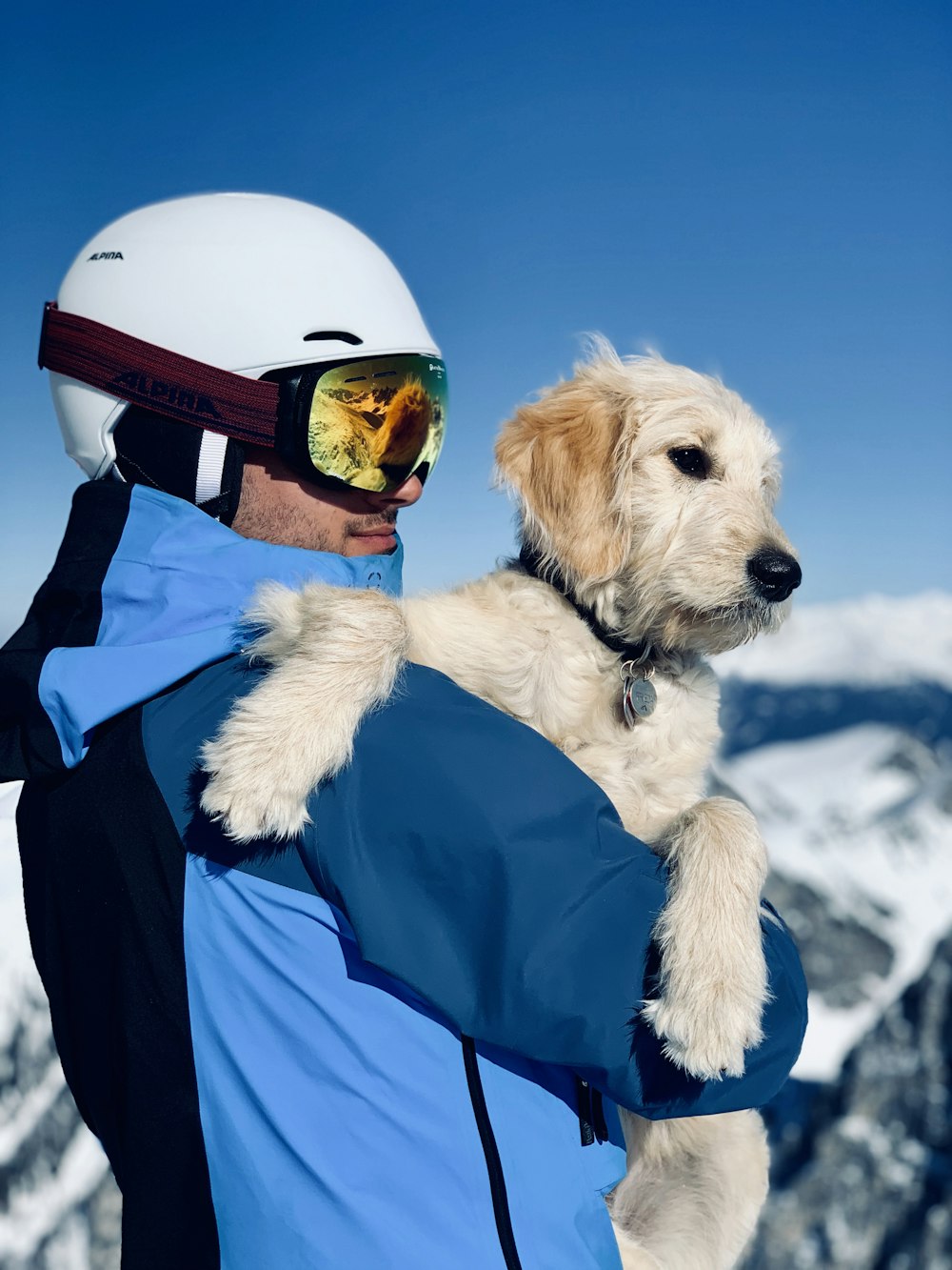 a person holding a dog