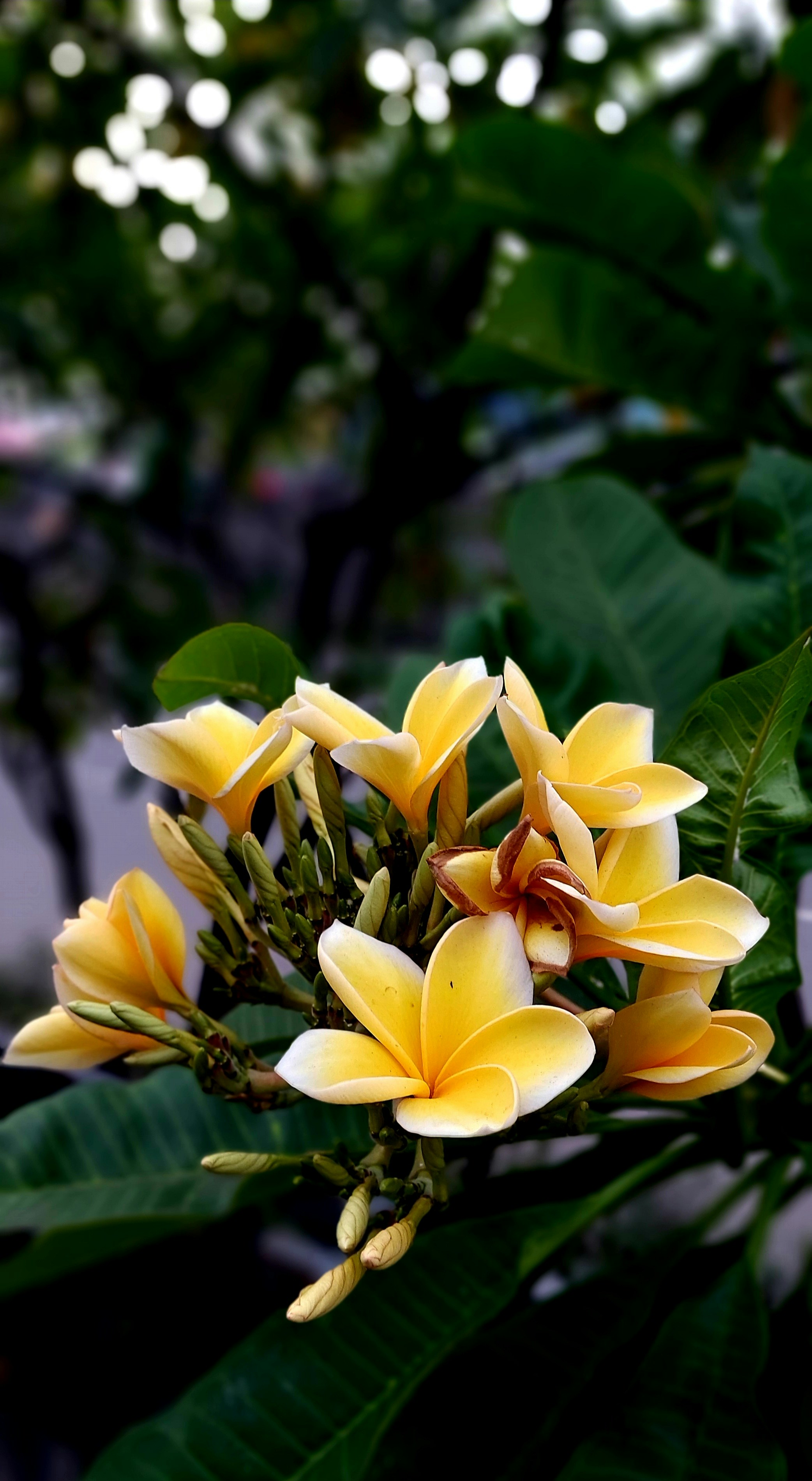 Photo by rubensukatendel