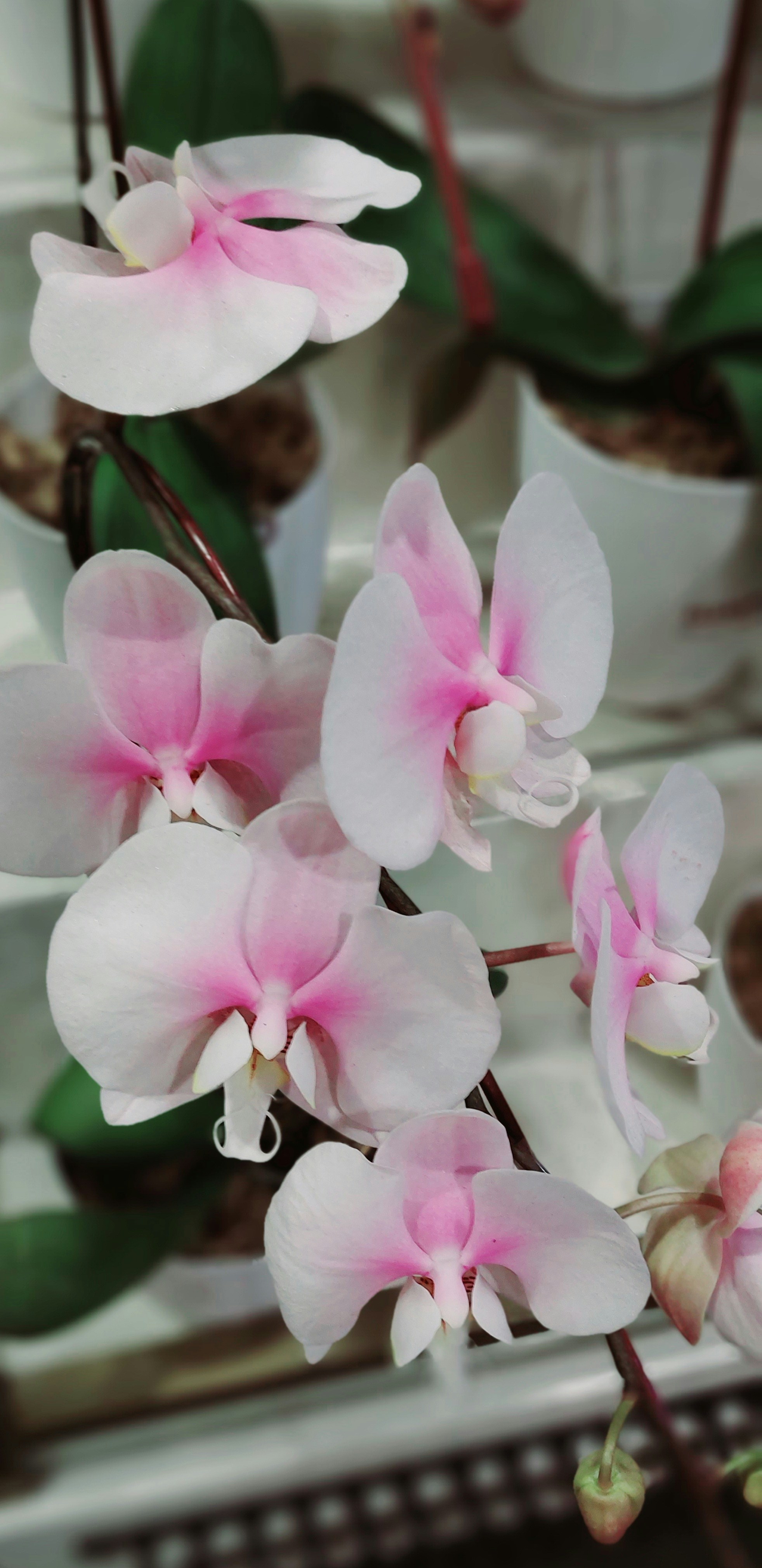 Photo by rubensukatendel