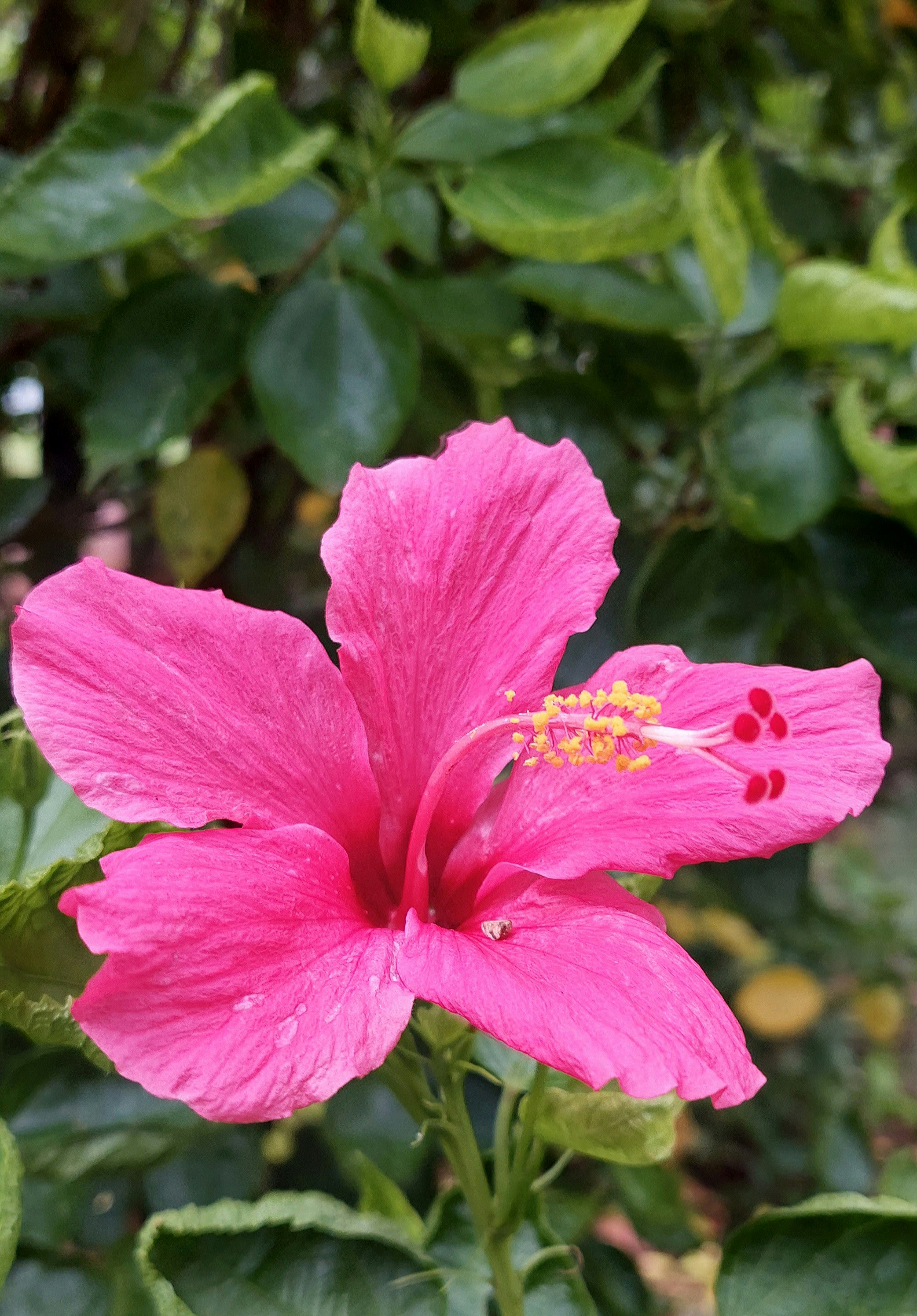 Photo by rubensukatendel