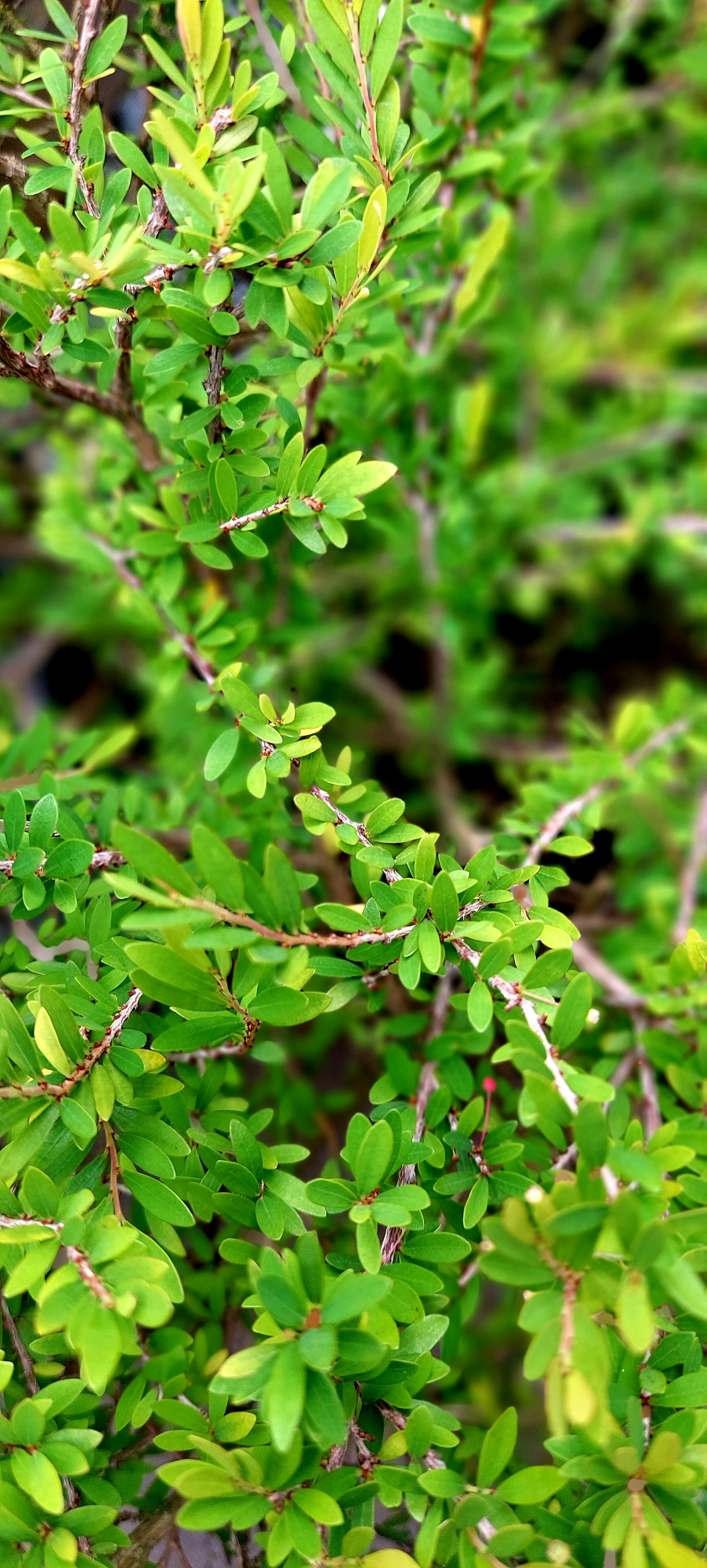 Photo by rubensukatendel