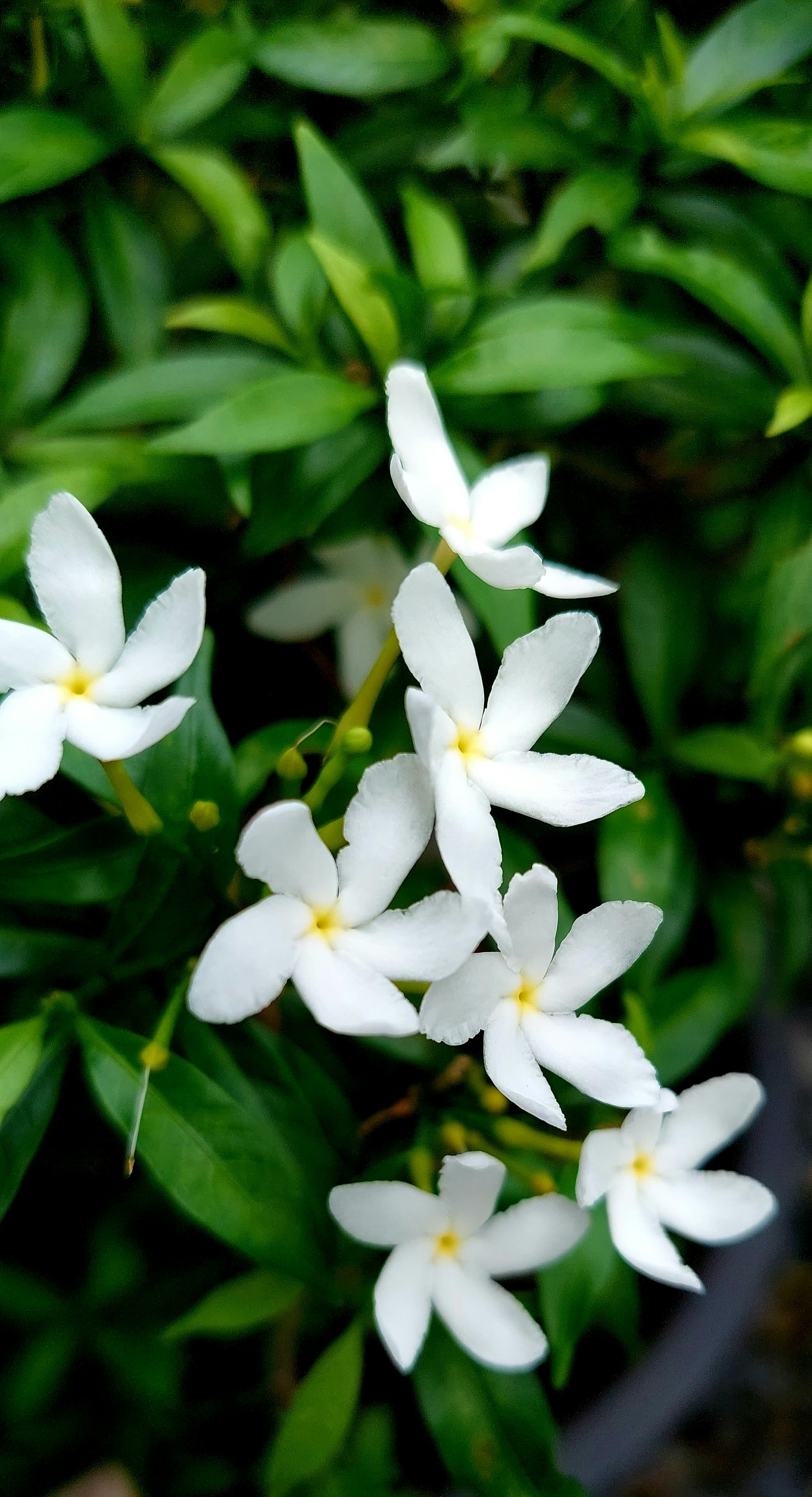 Photo by rubensukatendel