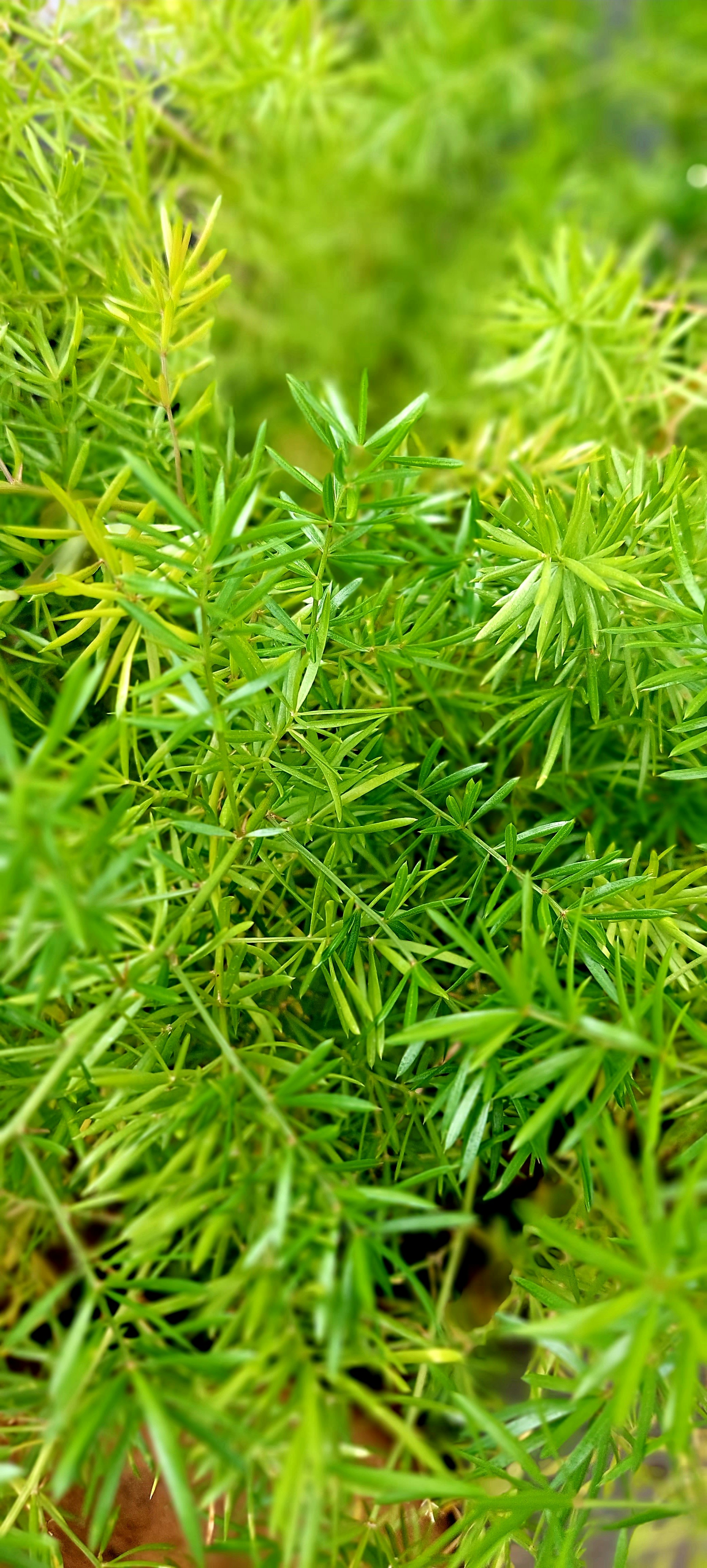 Photo by rubensukatendel