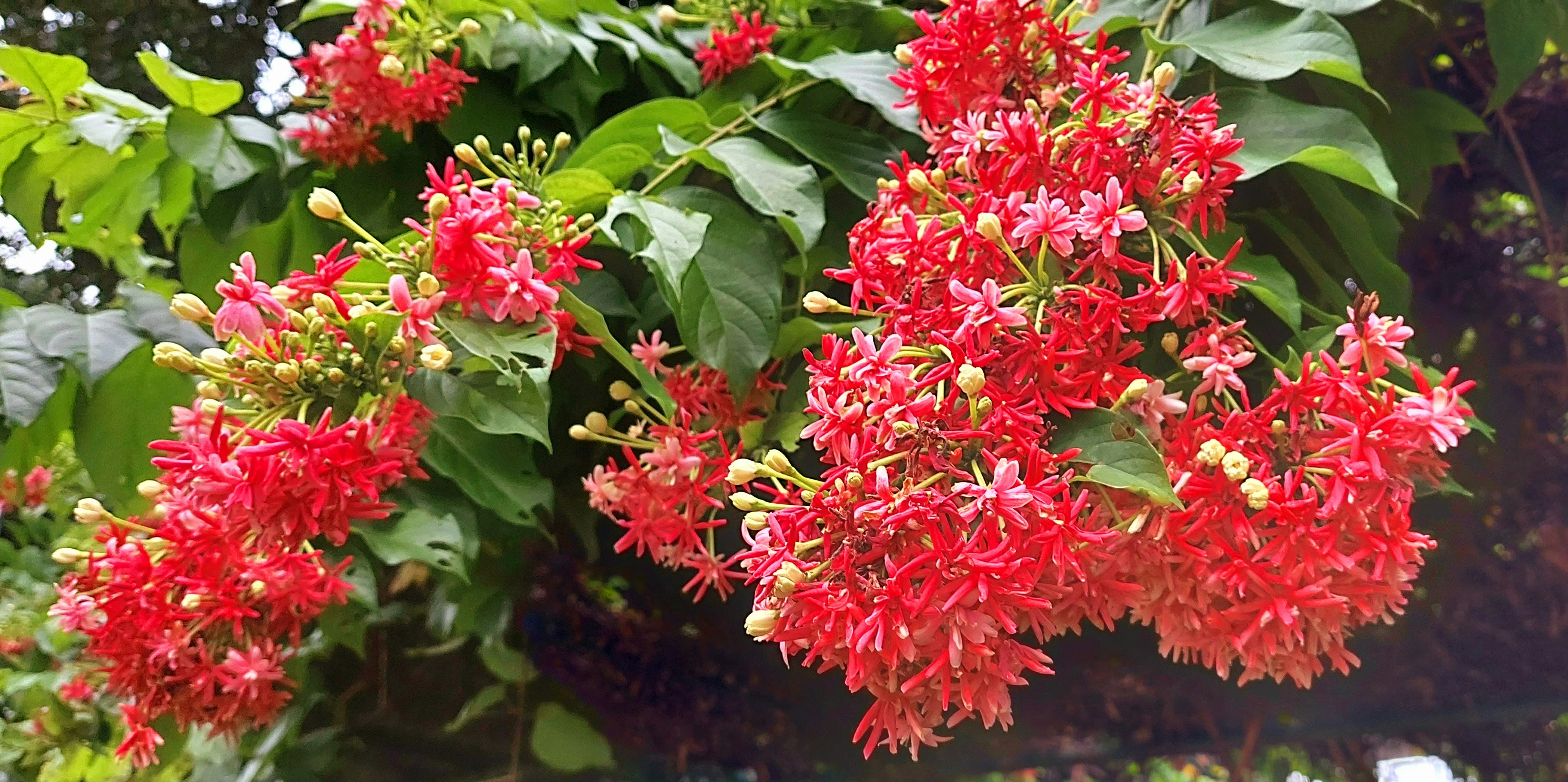 Photo by rubensukatendel