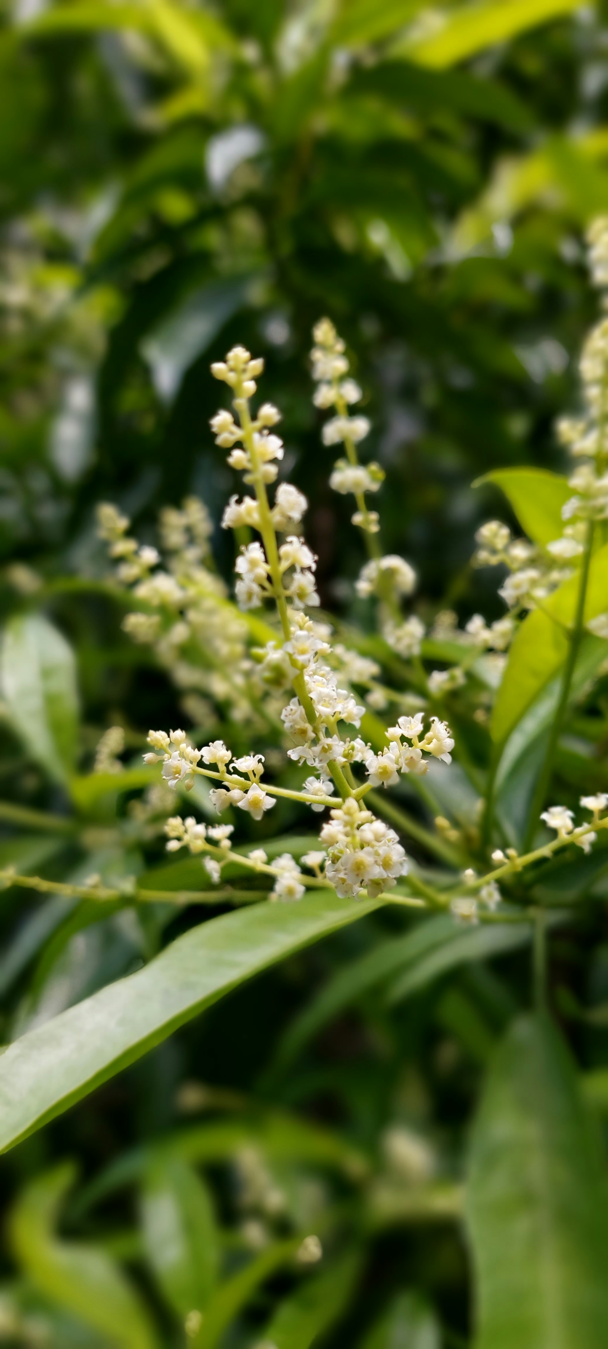 Photo by rubensukatendel