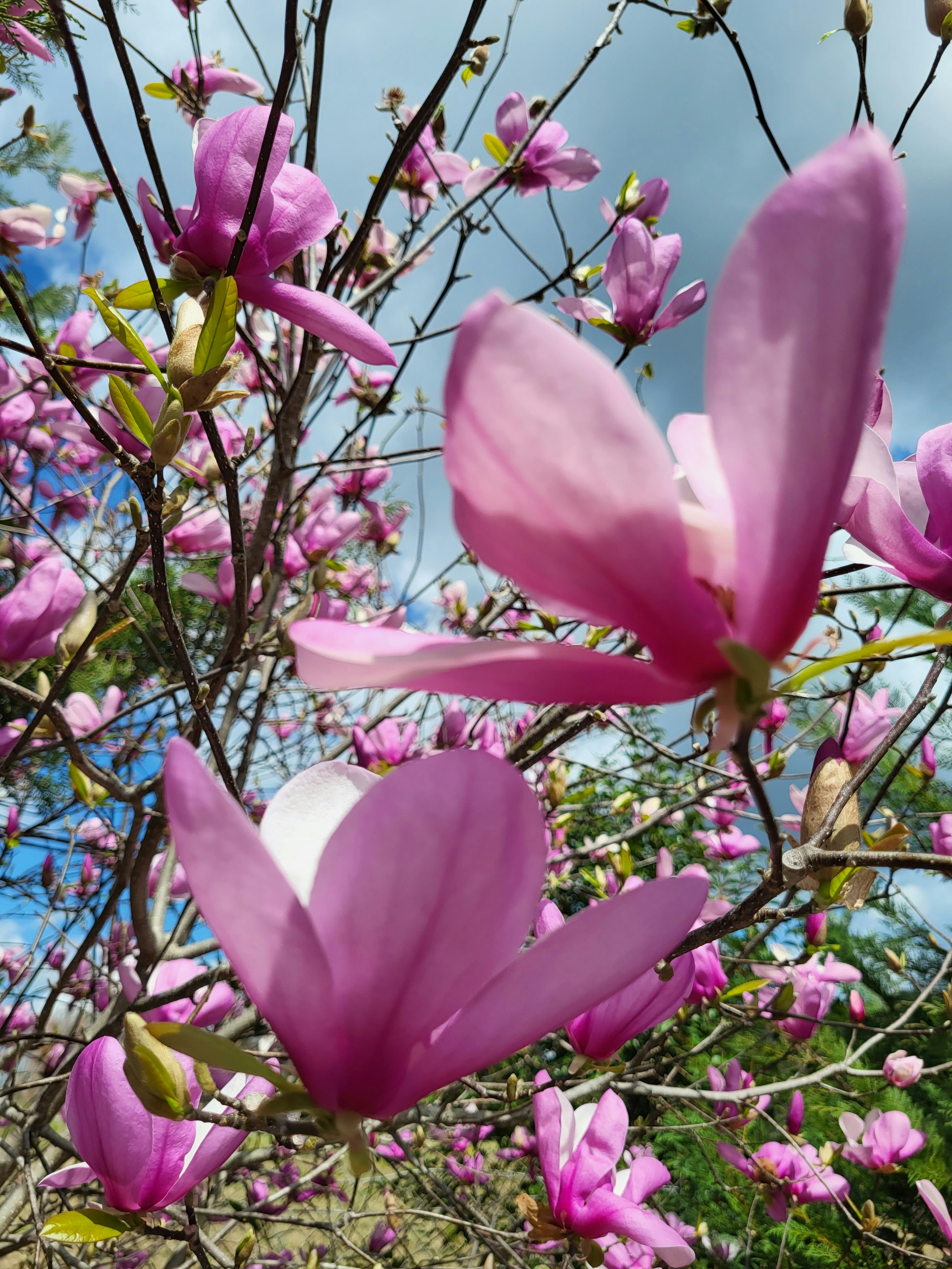 Photo by amaphotosforall