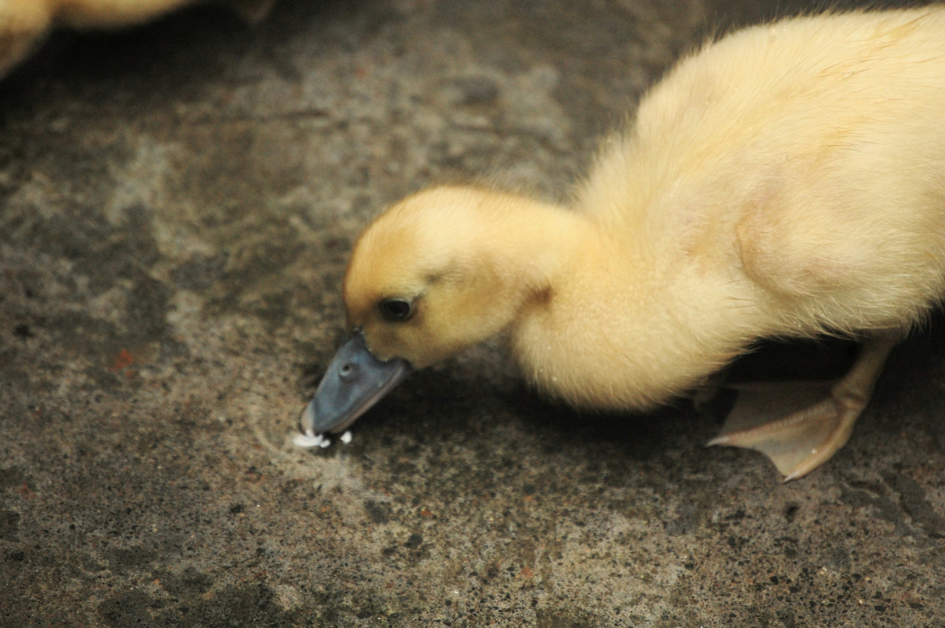 Photo by iam_estefaniav