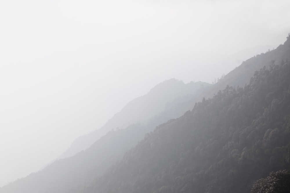 una montagna con la nebbia