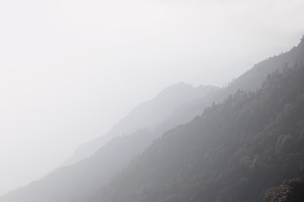 a mountain with fog