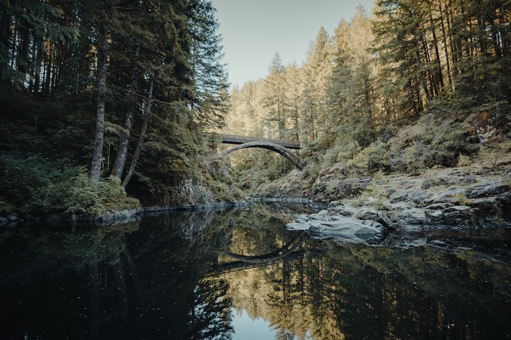 a bridge over a river