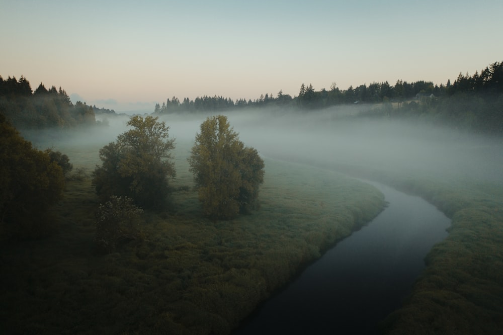a foggy river with trees and grass