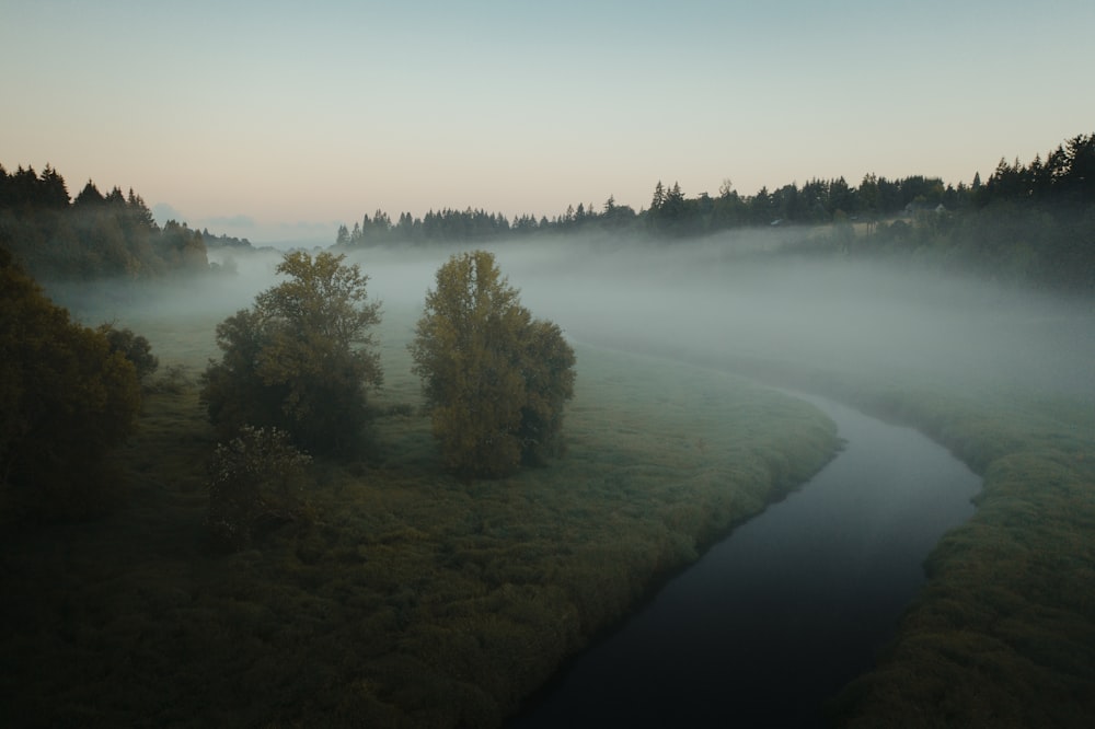 Ein nebliger Fluss mit Bäumen und Gras