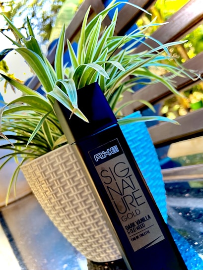 A black spray bottle labeled 'AXE Signature Gold' with dark vanilla and oud fragrance is placed in front of a white, textured plant pot that contains a green spider plant with long, thin leaves. The background consists of out-of-focus wooden slats and foliage, suggesting an outdoor or patio setting.