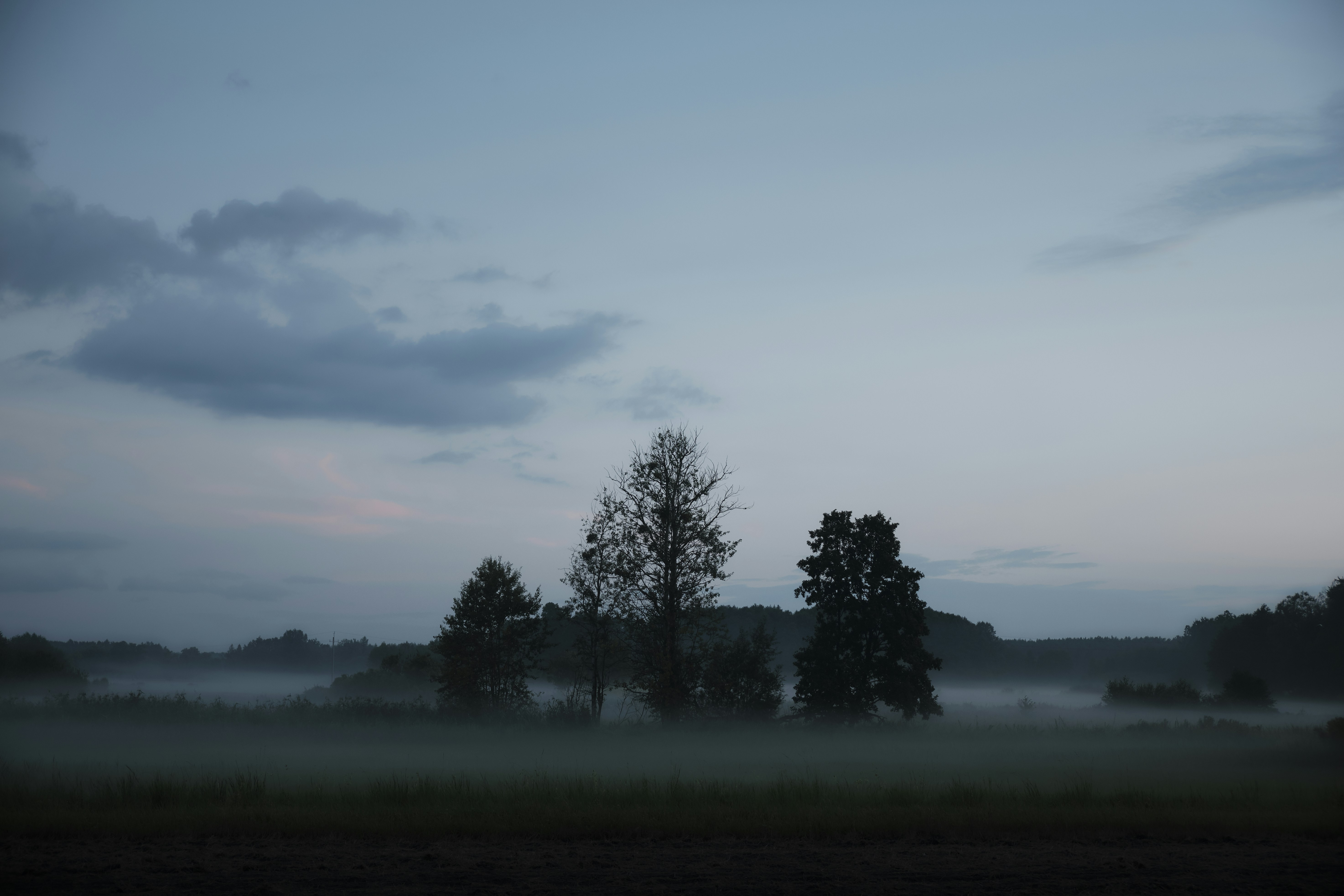 Photo by victor_vector