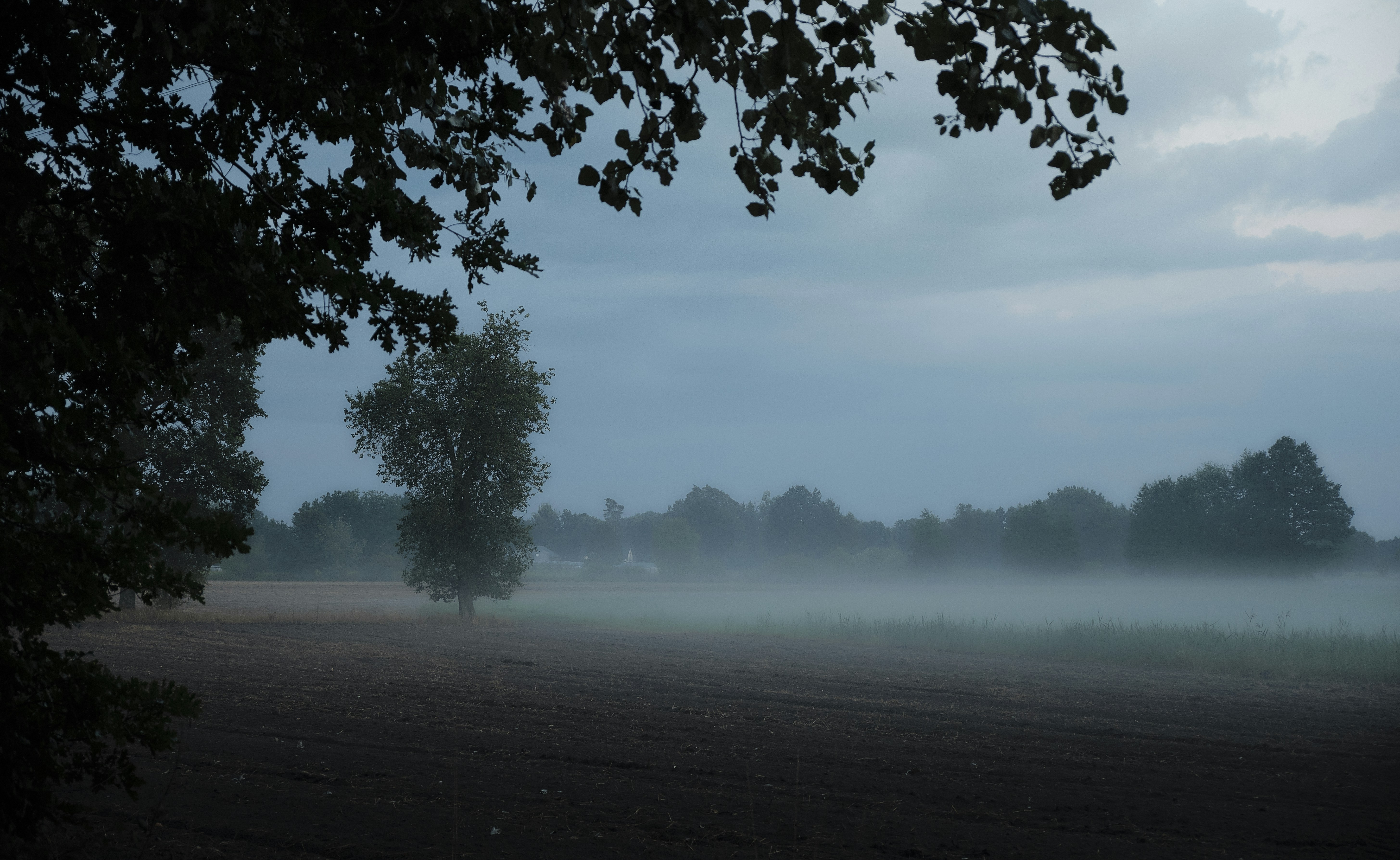 Photo by victor_vector