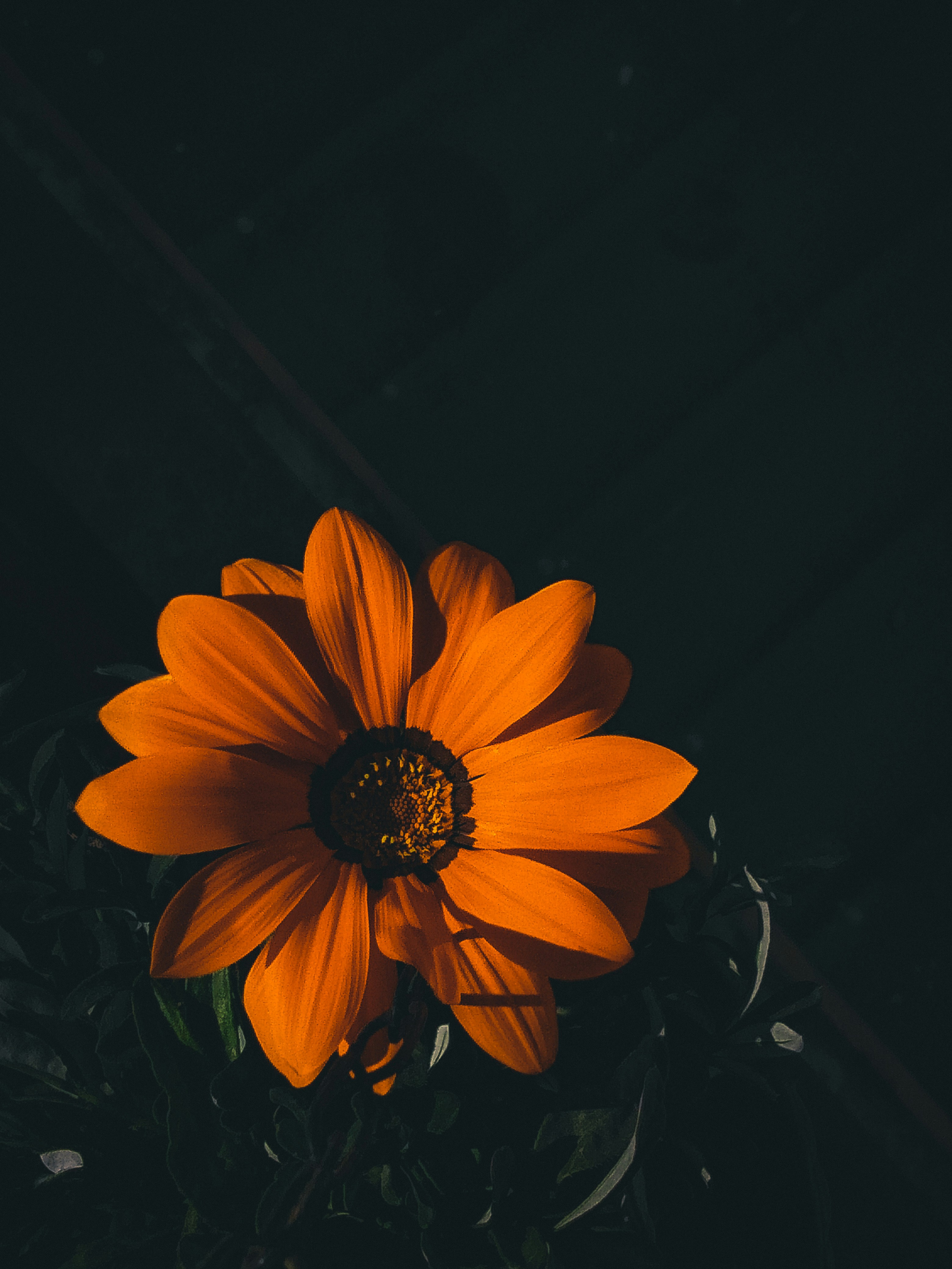 Photo by justcapturingit