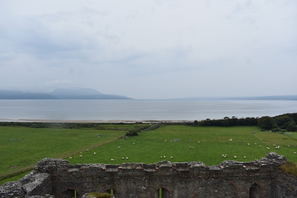 a grassy field next to a body of water