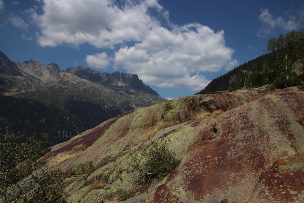 a rocky and grassy area with trees and mountains in the background