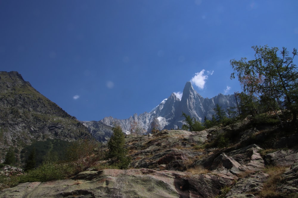 a rocky mountain with trees and a blue sky