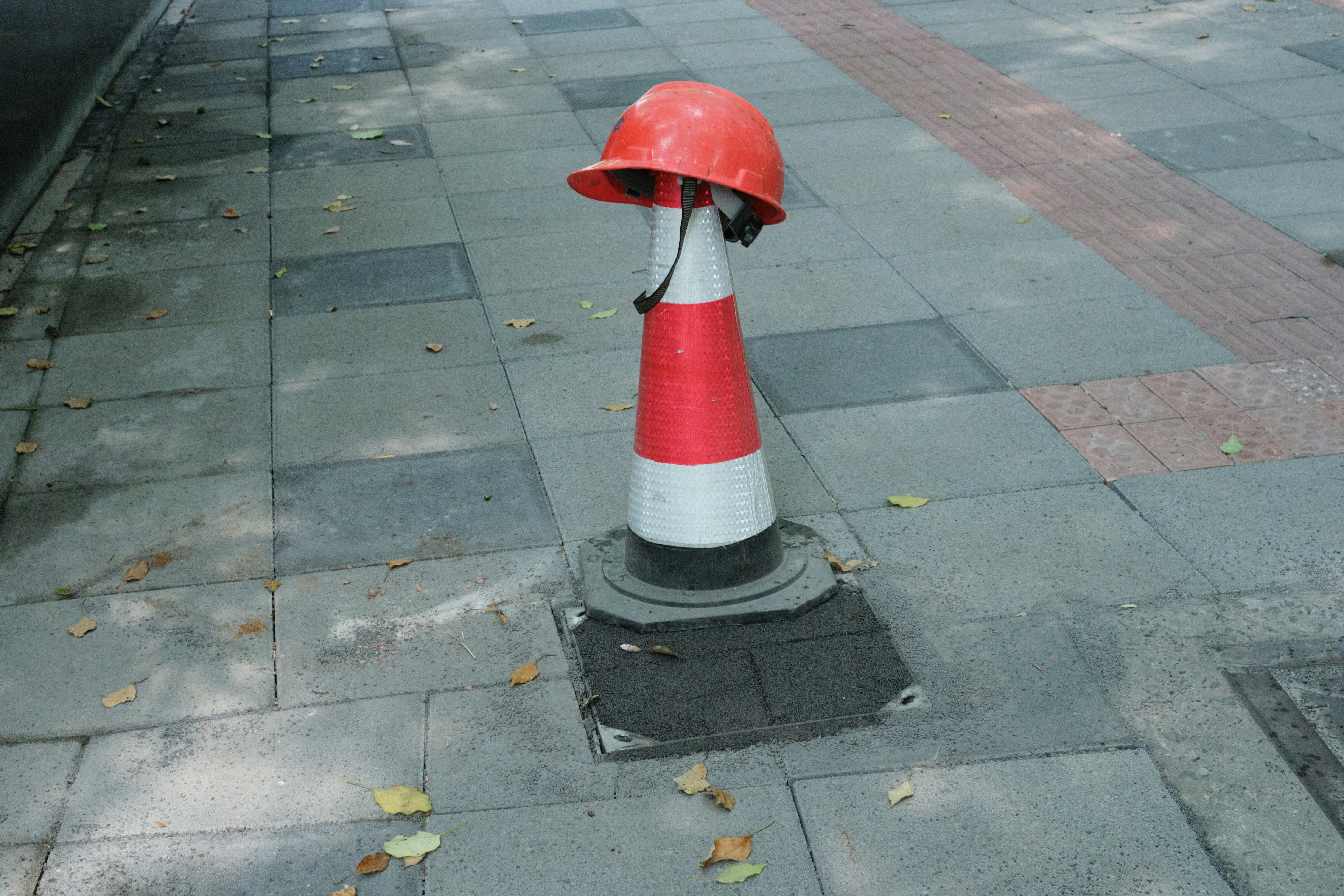 Photo by the_look_of_