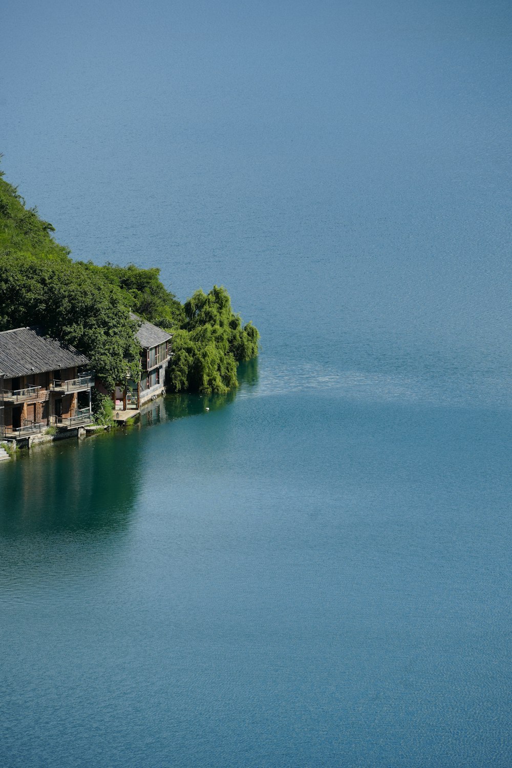 a body of water with buildings and trees around it