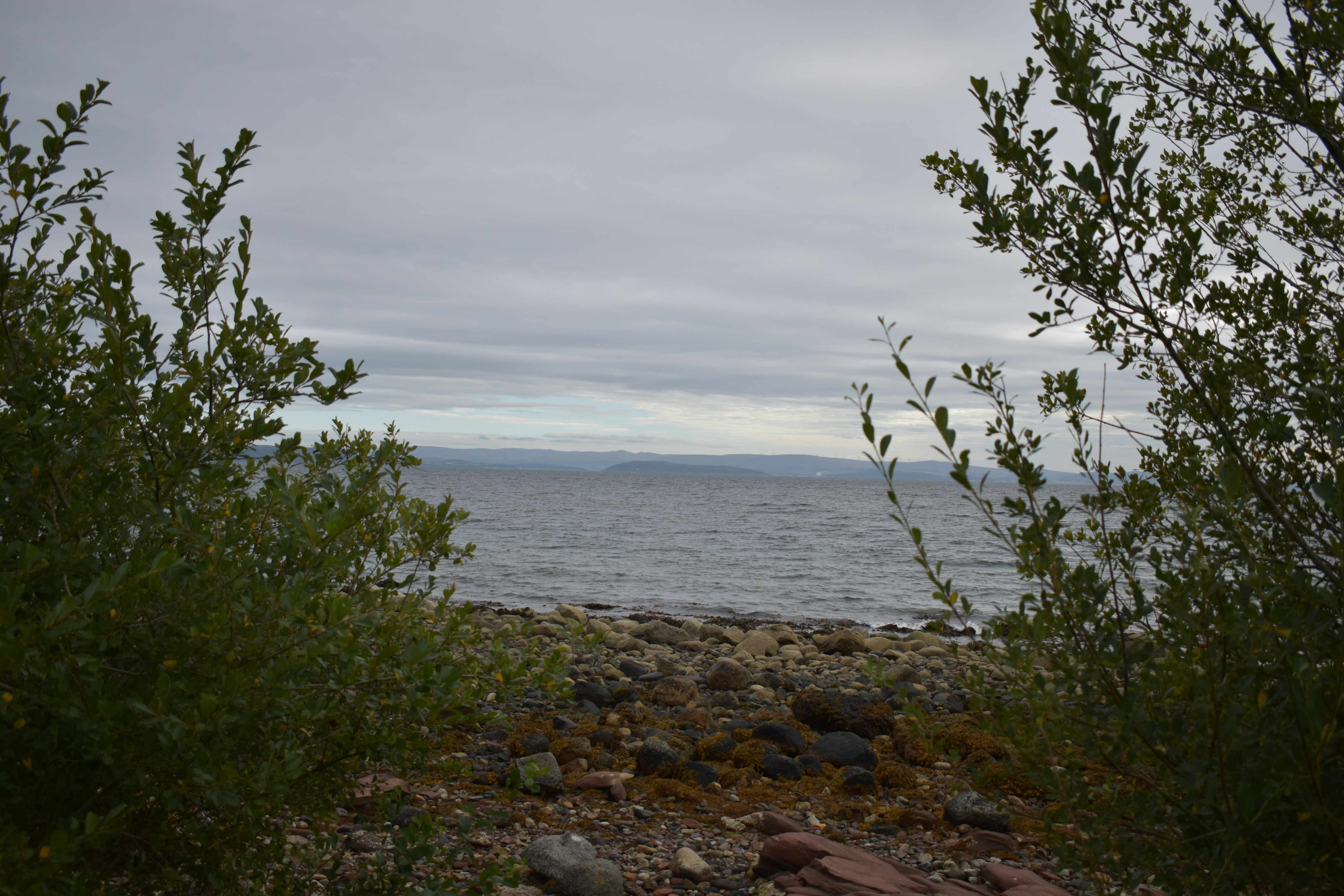 Photo by andrew_hall