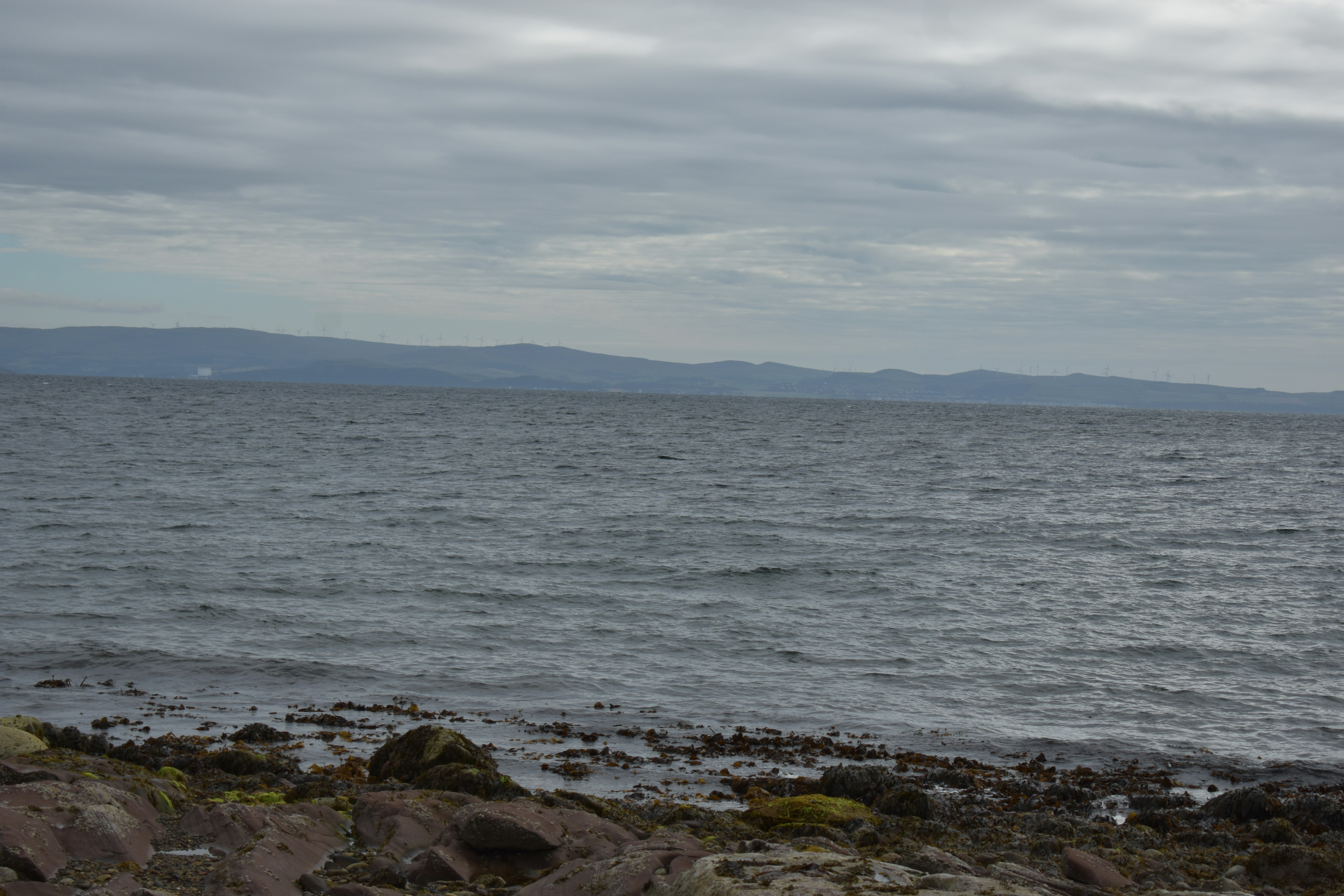 Photo by andrew_hall