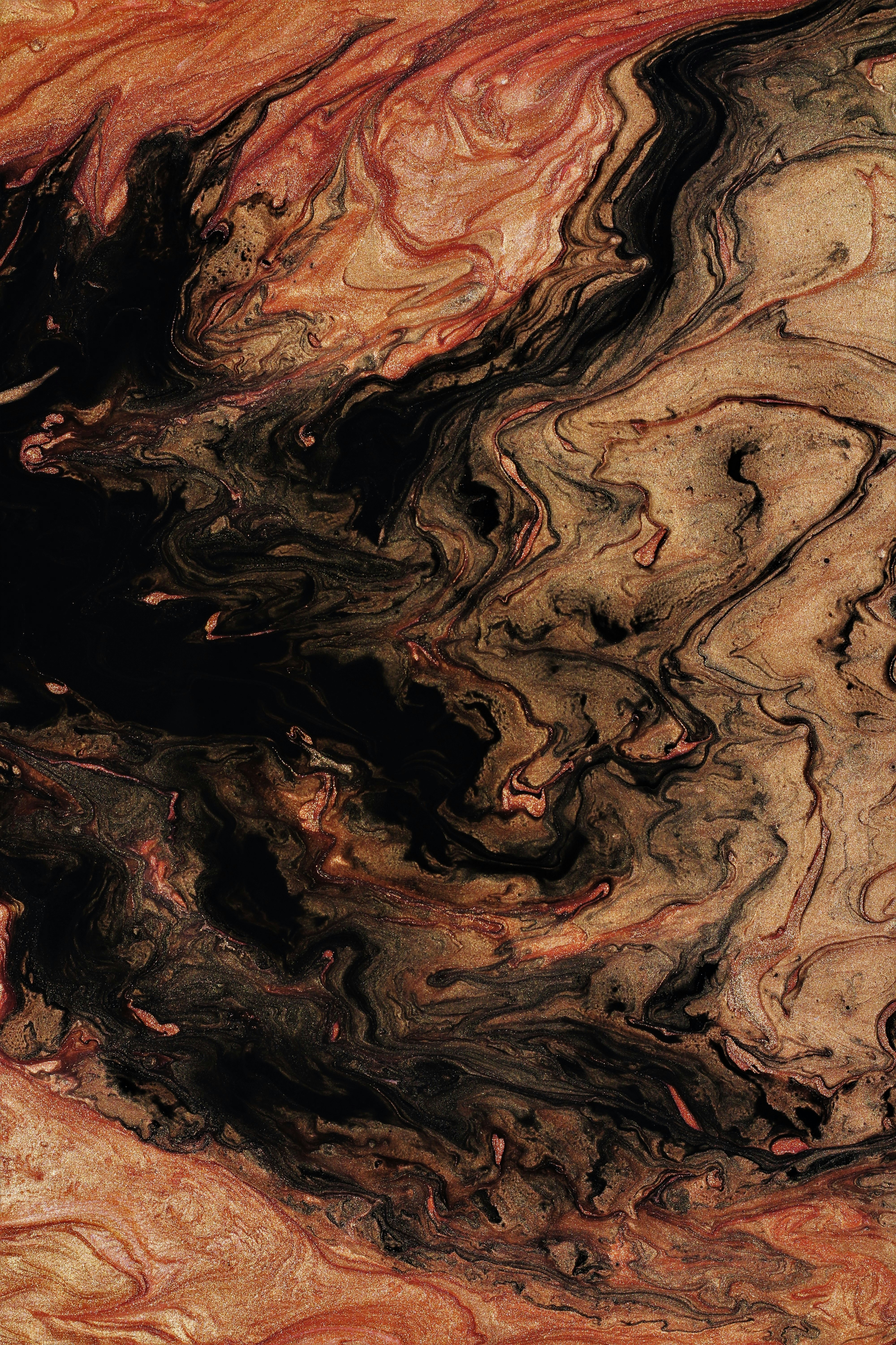 Photo by susan_wilkinson