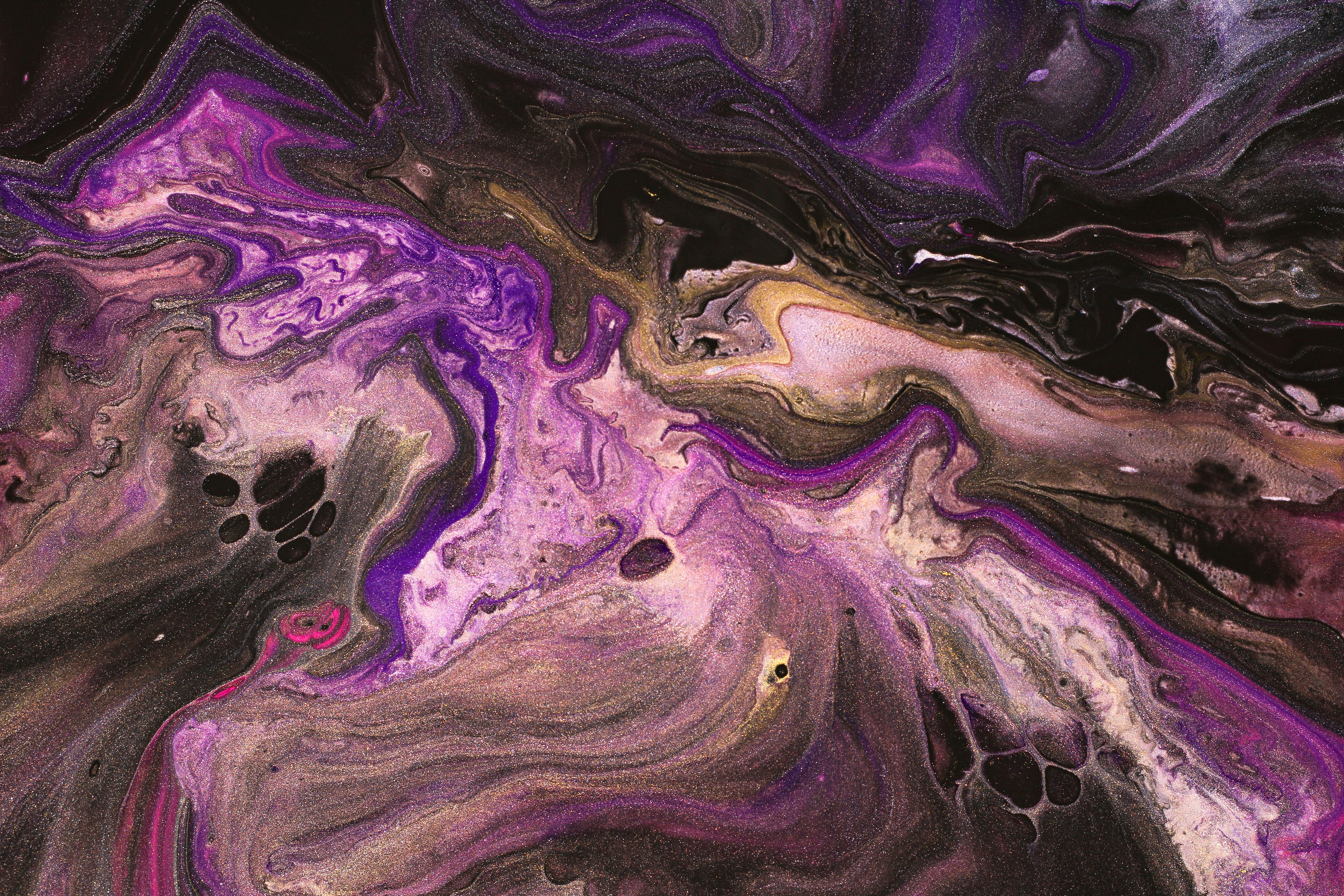 Photo by susan_wilkinson