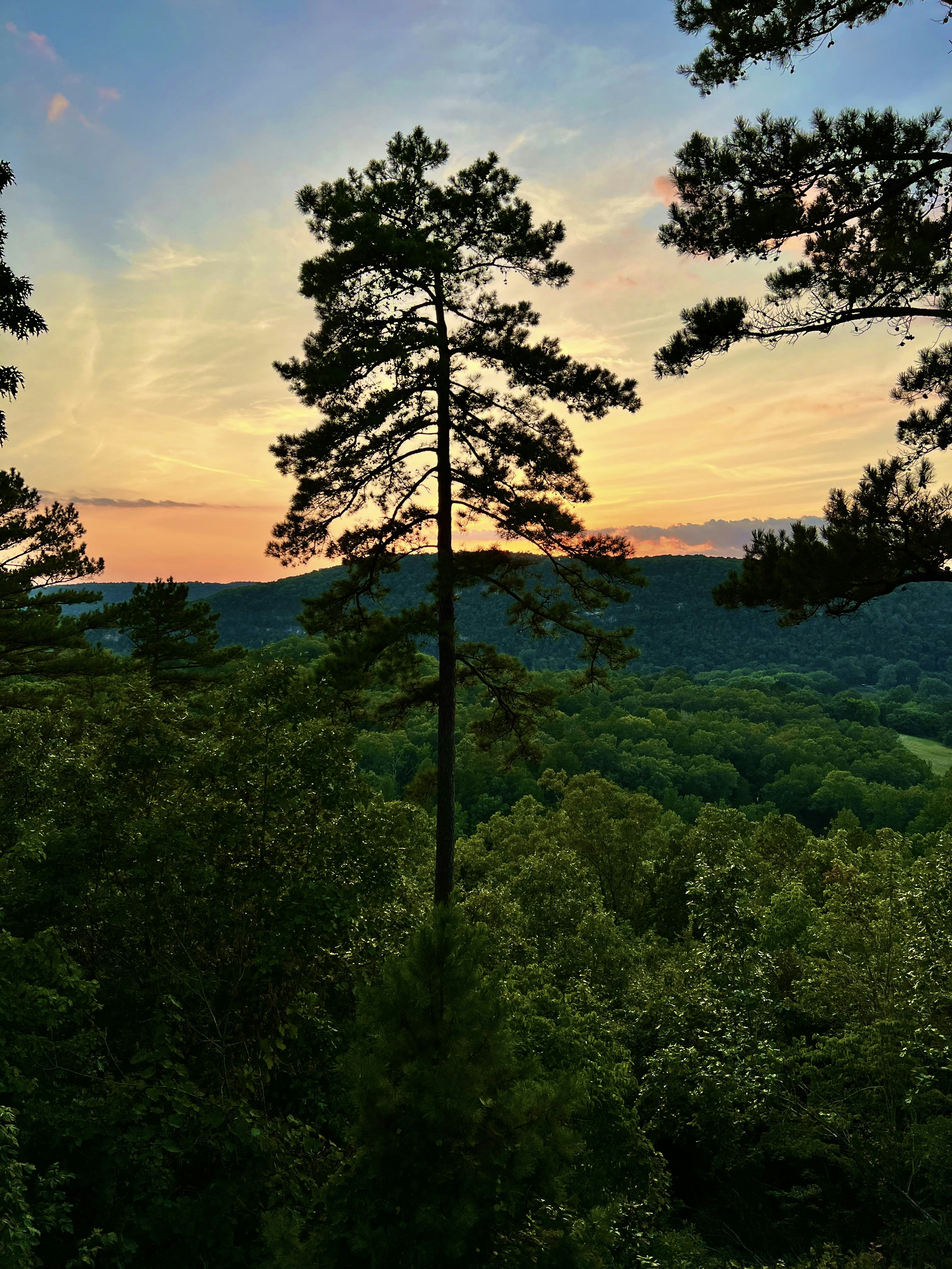 Photo by jarodgrubbs