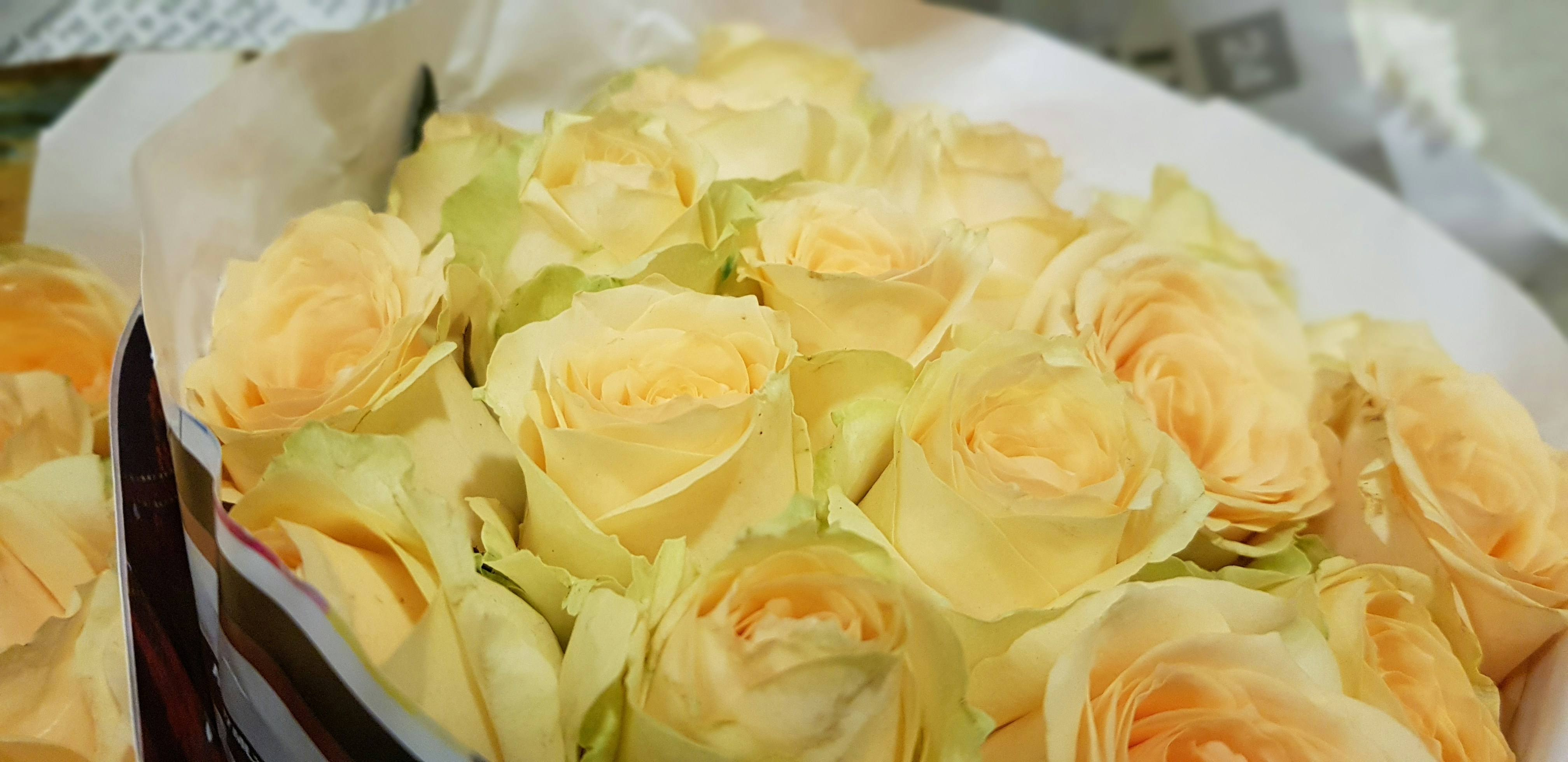 a bowl of yellow flowers