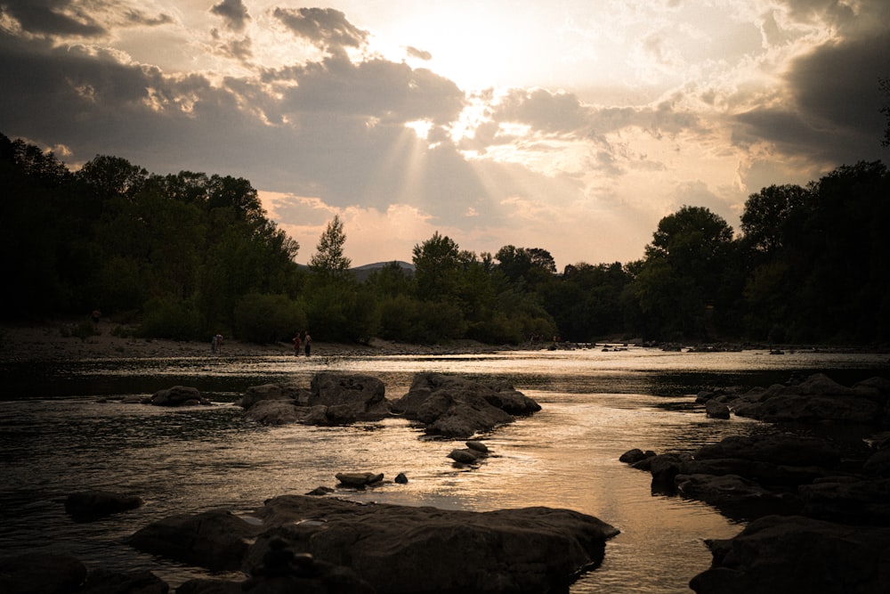 Un río con rocas y árboles