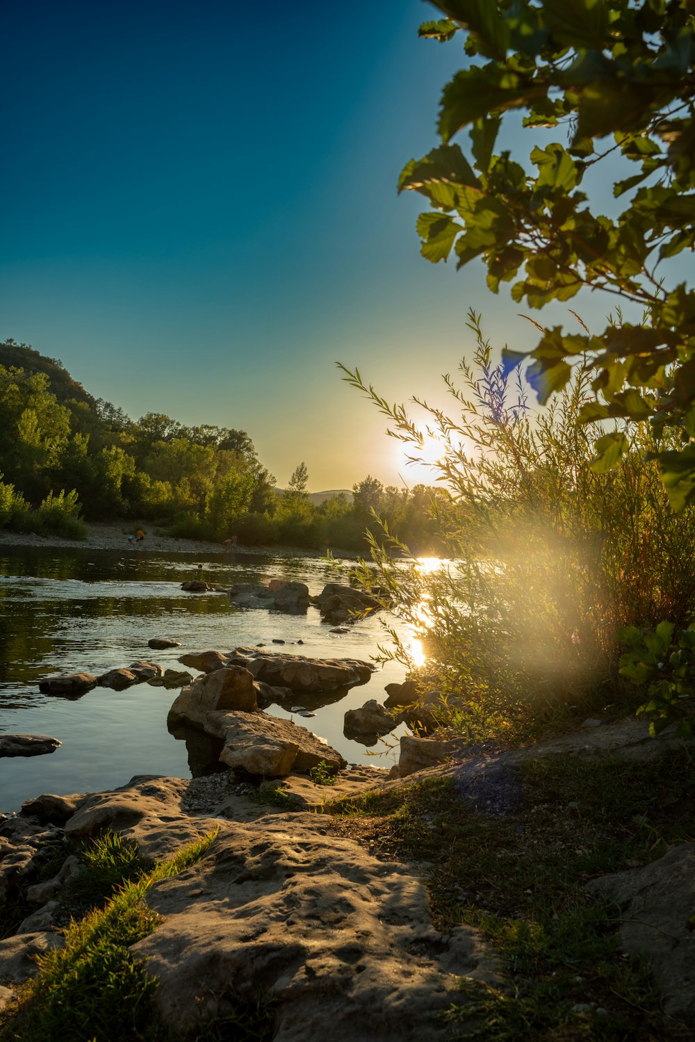 a river with rocks and trees