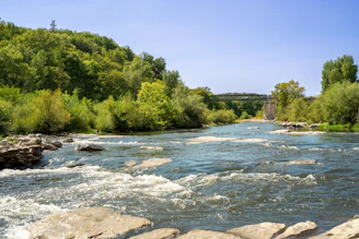 a river with rocks and trees
