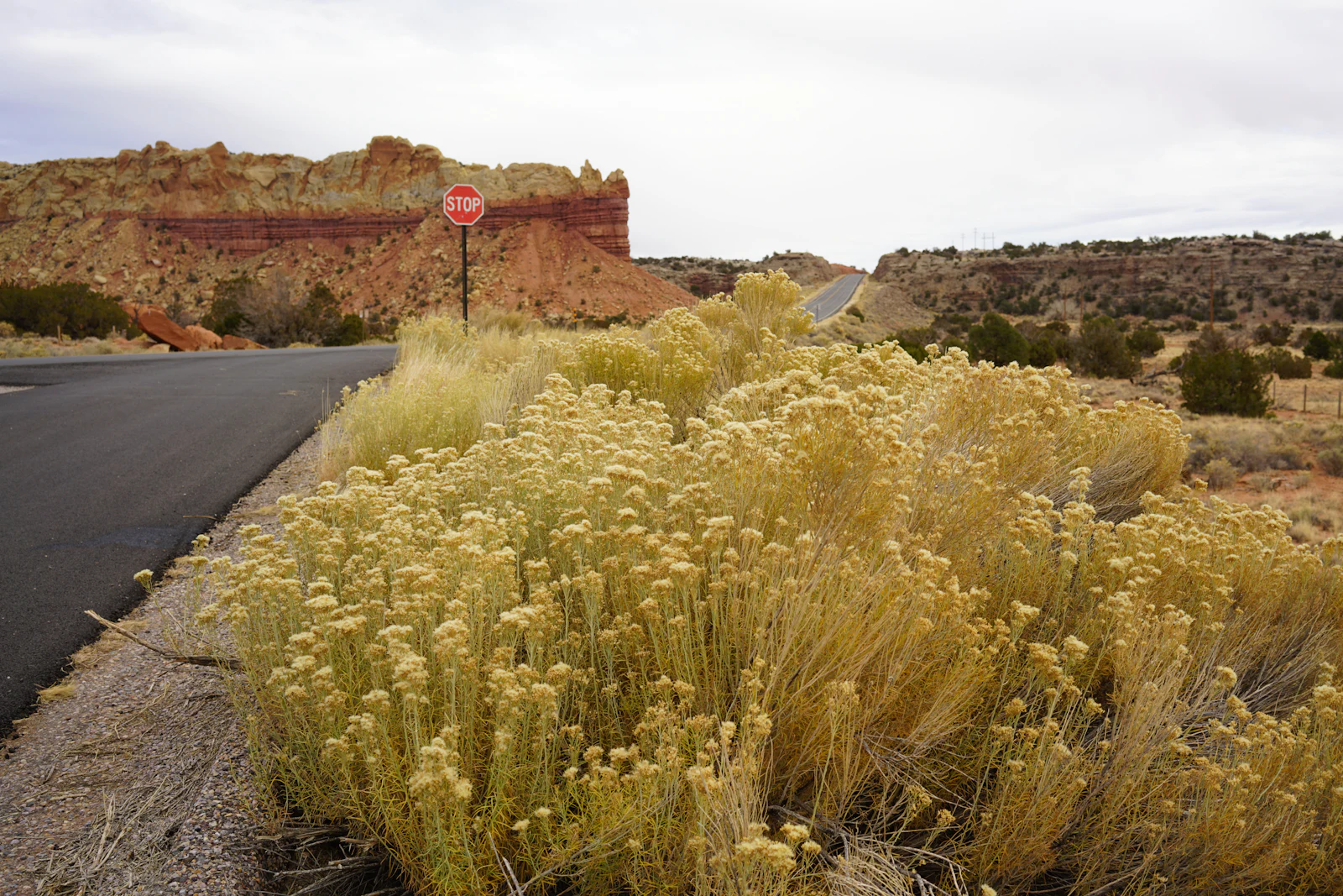 A stop sign standing alone in an empty desert field.