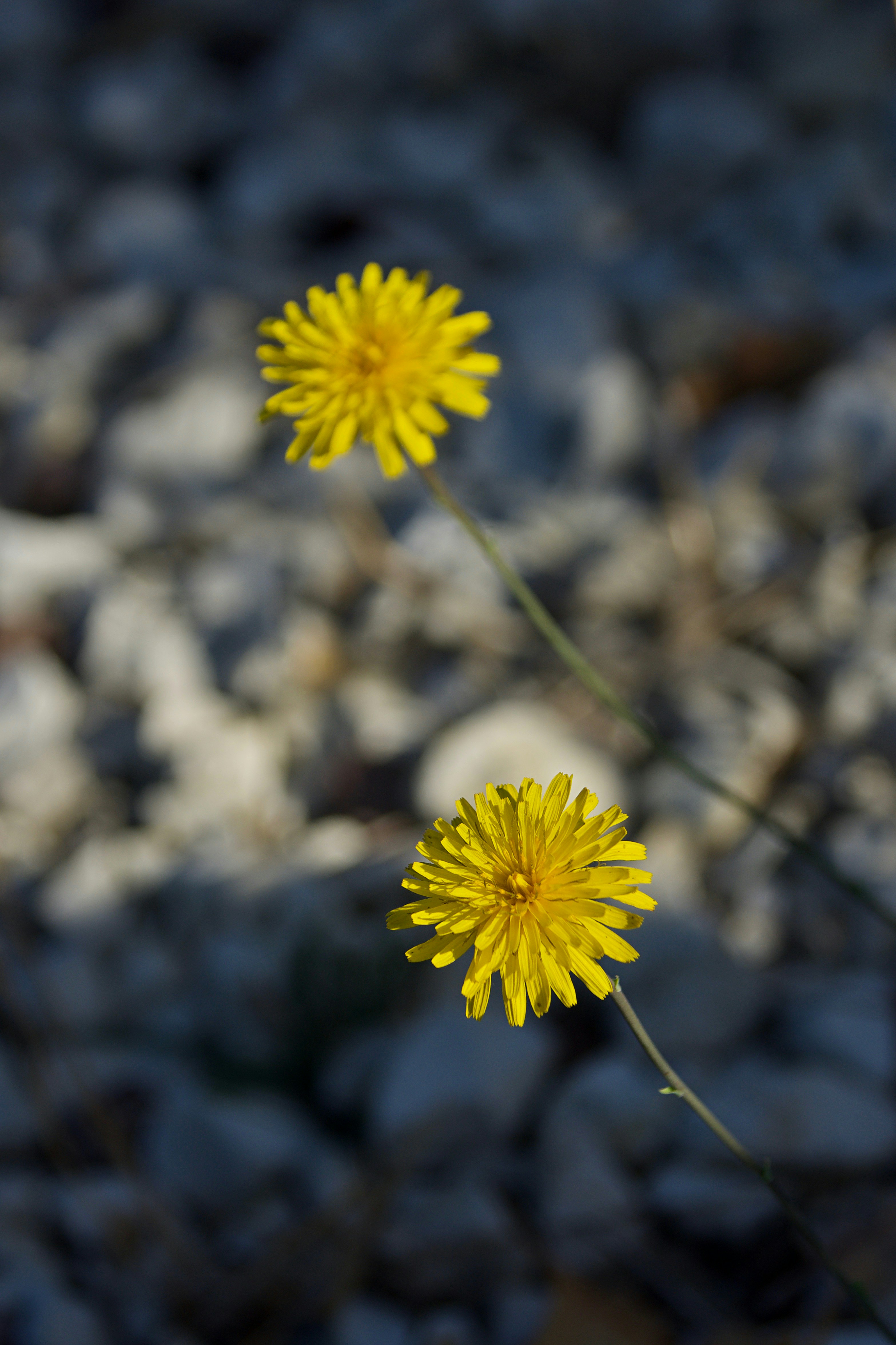 Photo by mariobeducci