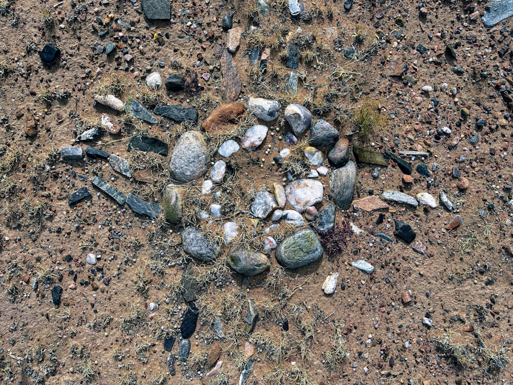un montón de rocas