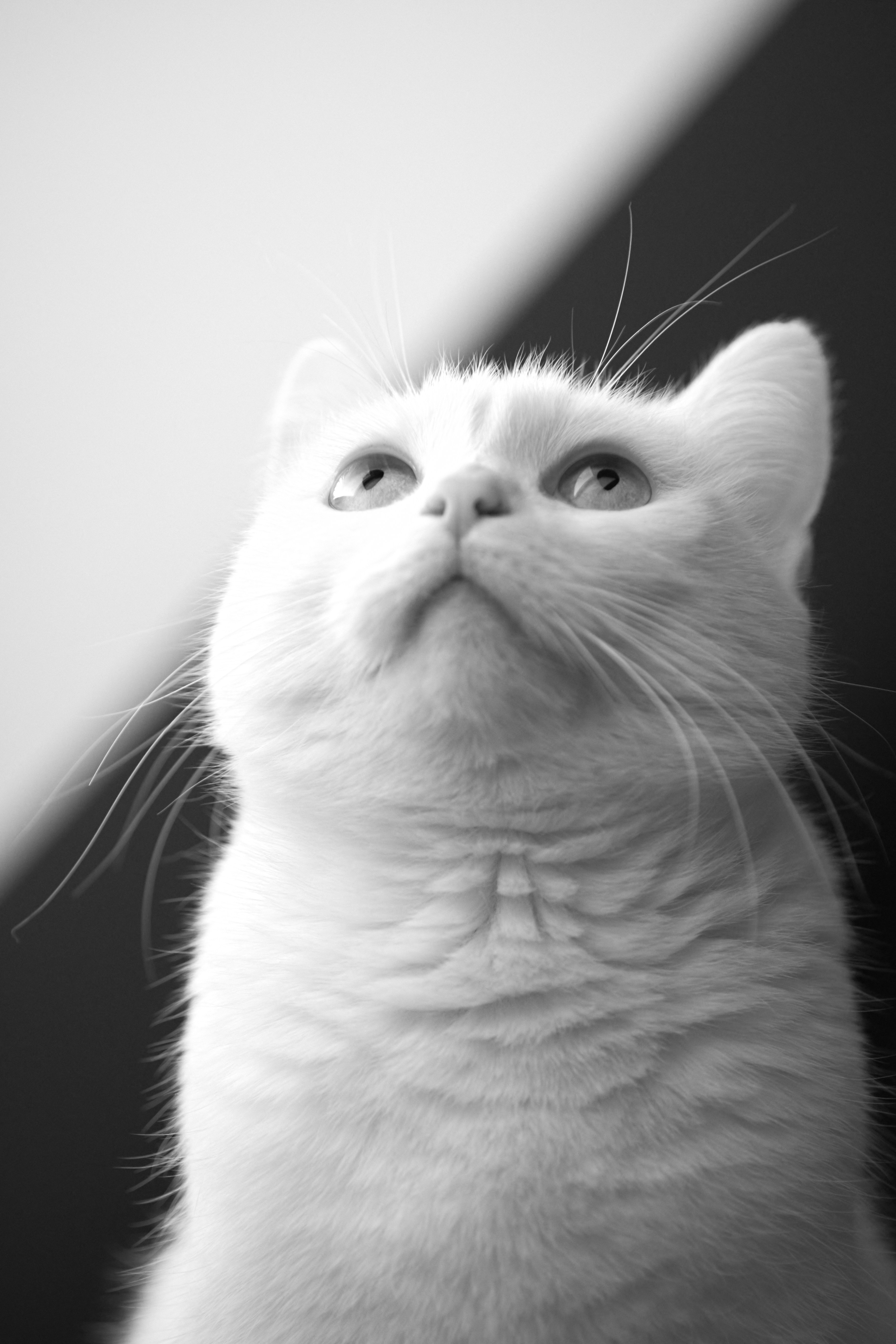 Photo by perfectmirror