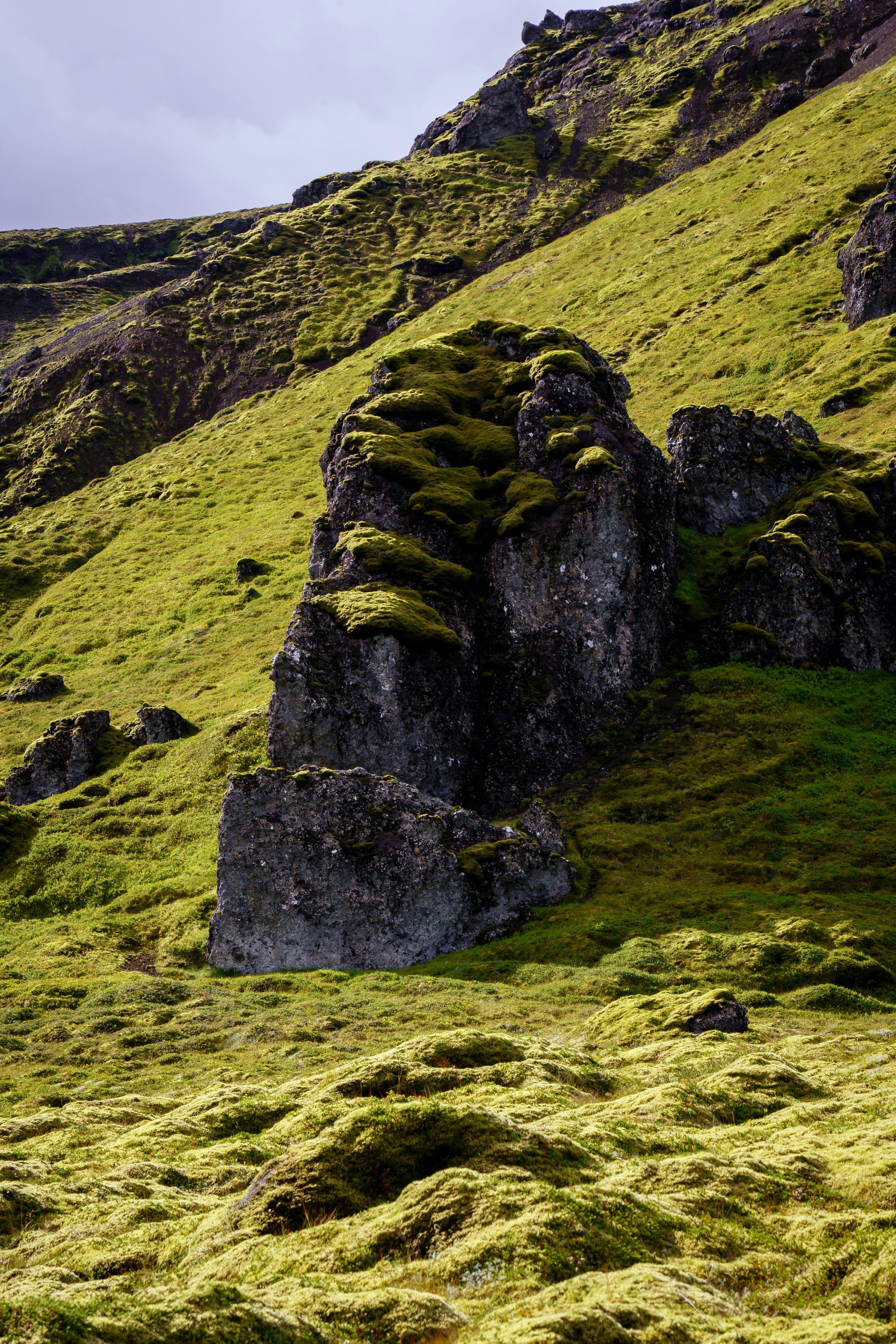 Photo by collinmarkross