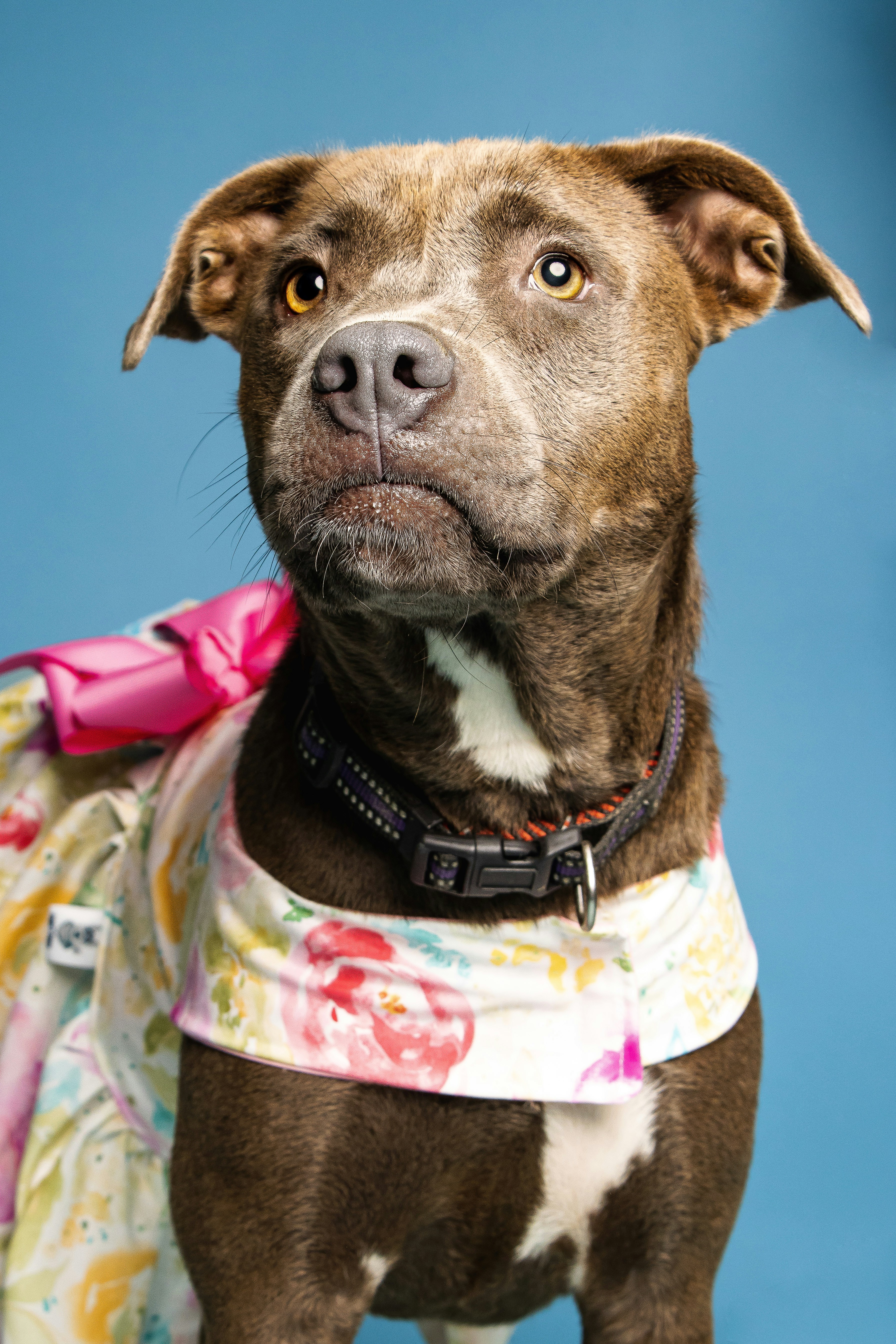 Photo by escape_your_mind