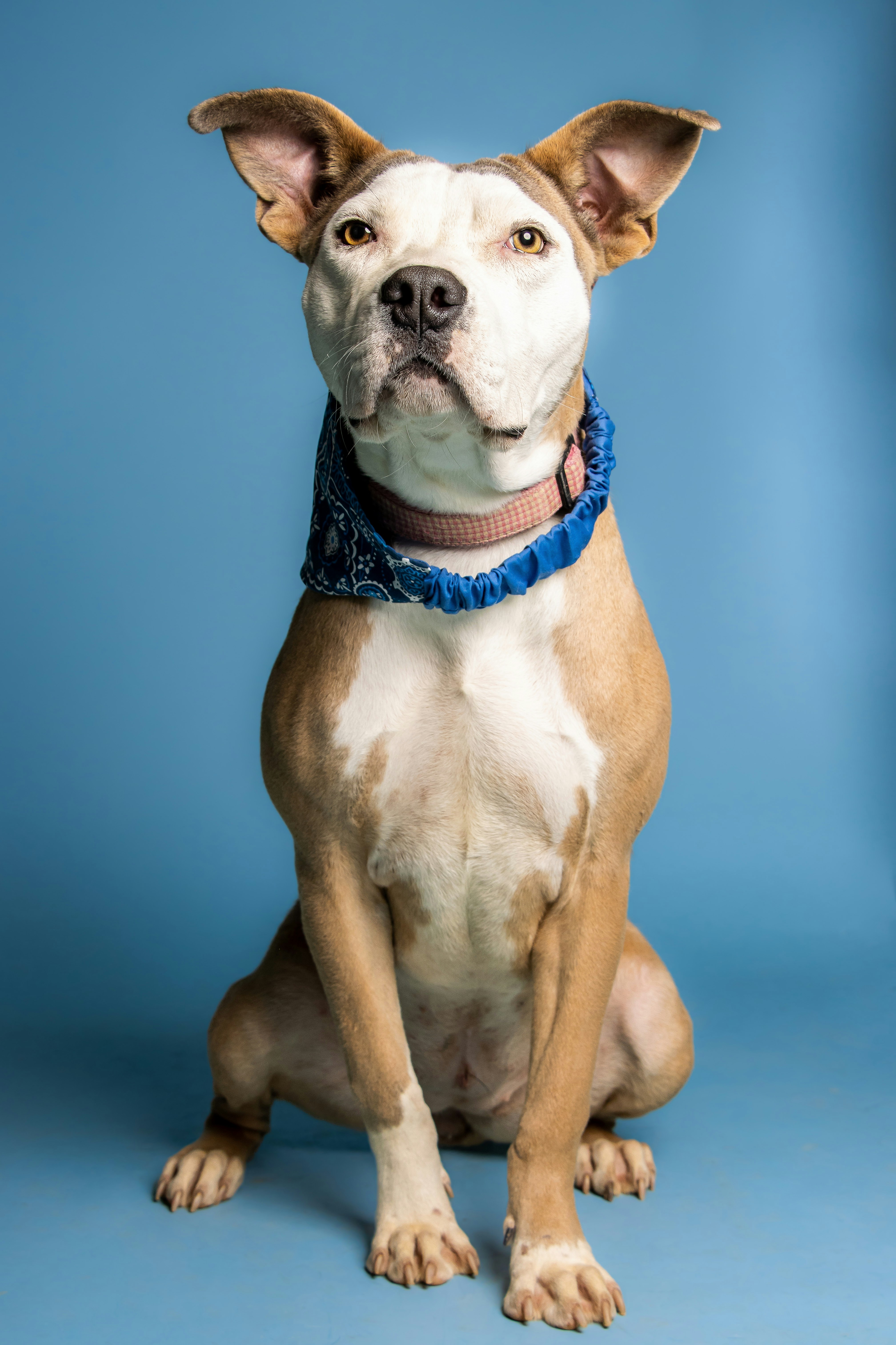 Photo by escape_your_mind