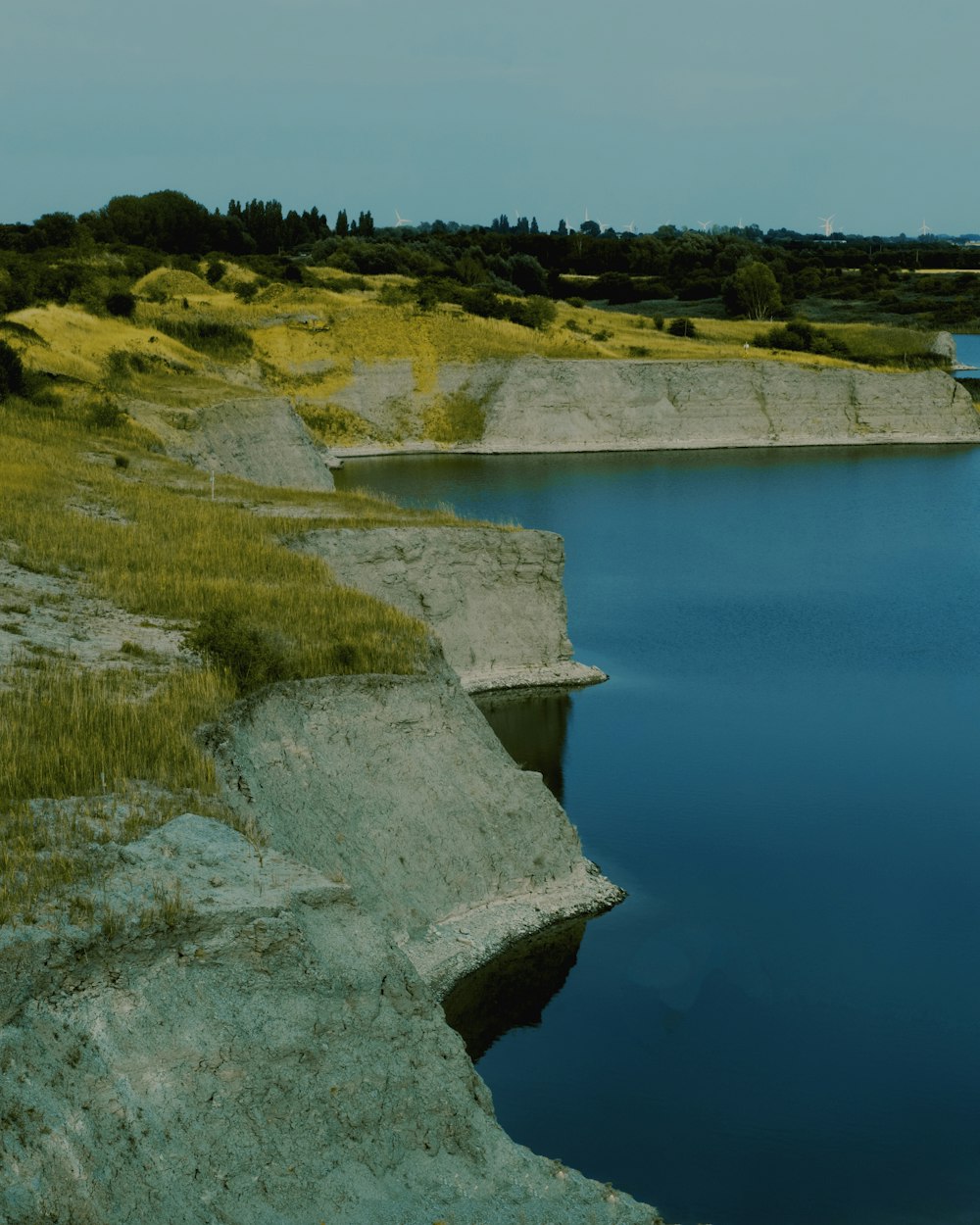 a body of water with grass and trees around it