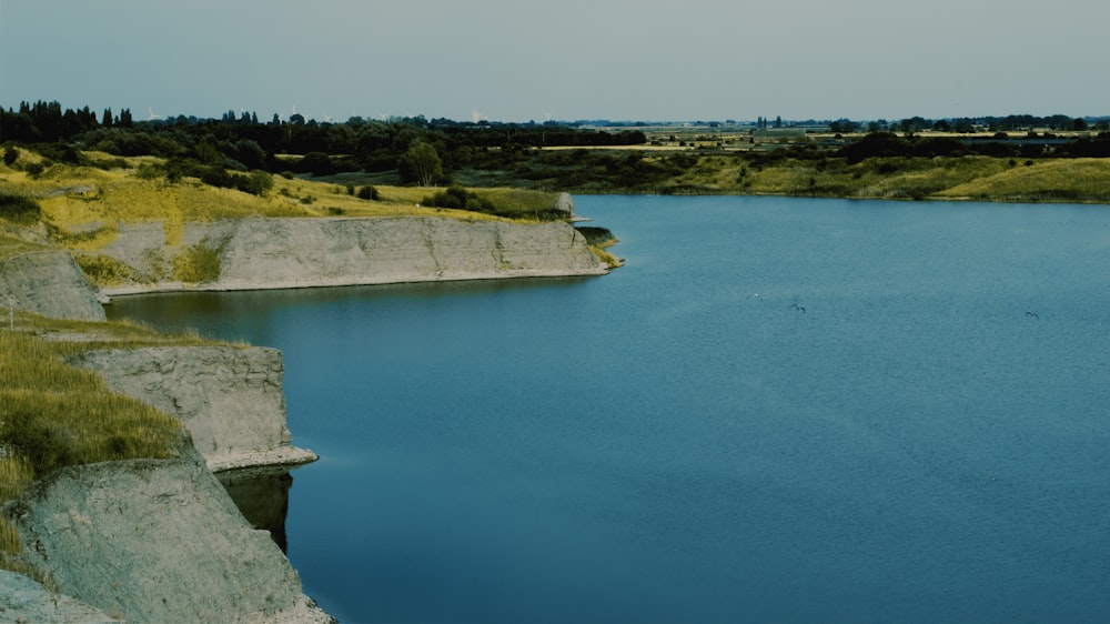 a body of water with grass and trees around it