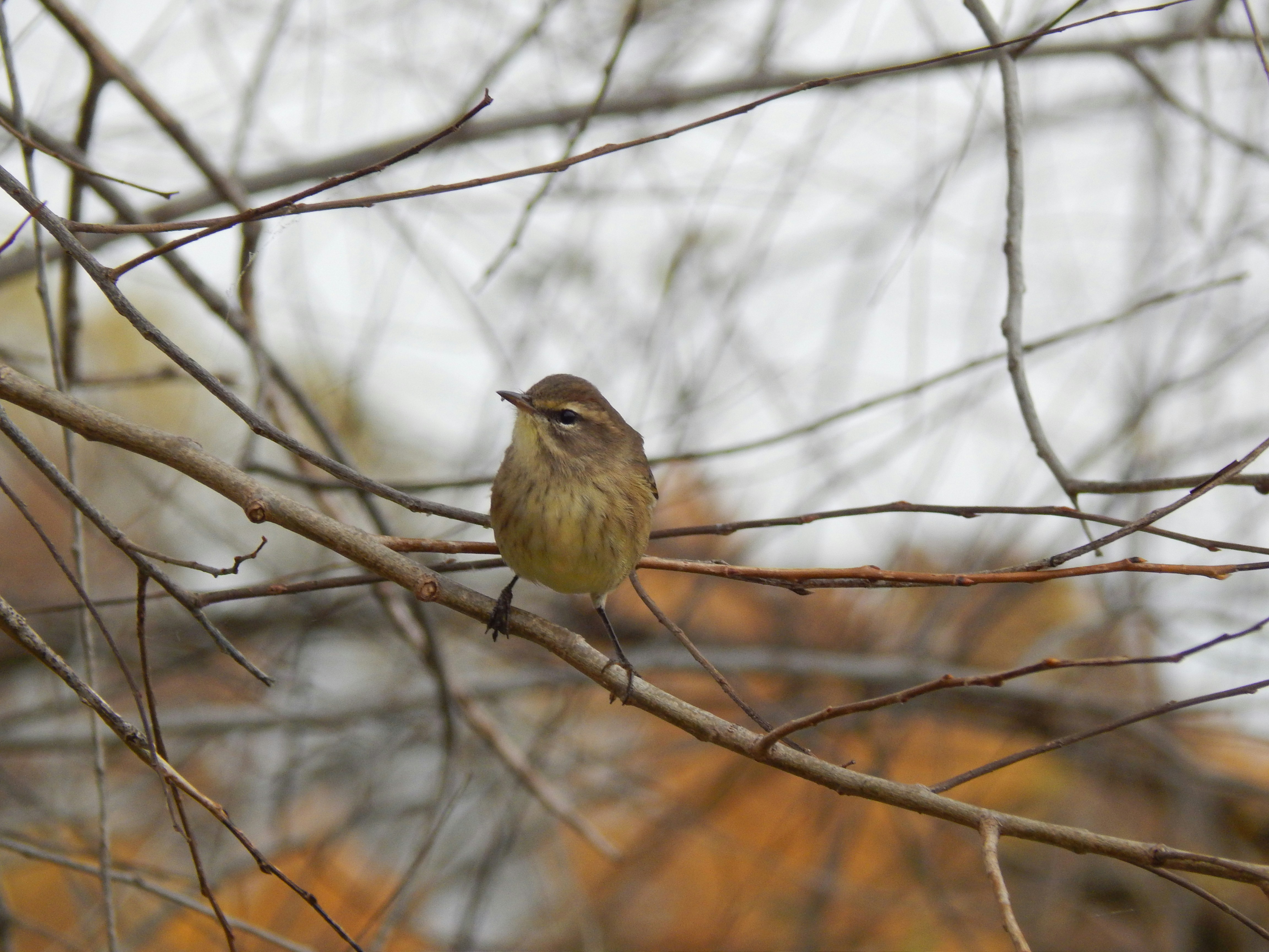 Photo by scarlettweiss