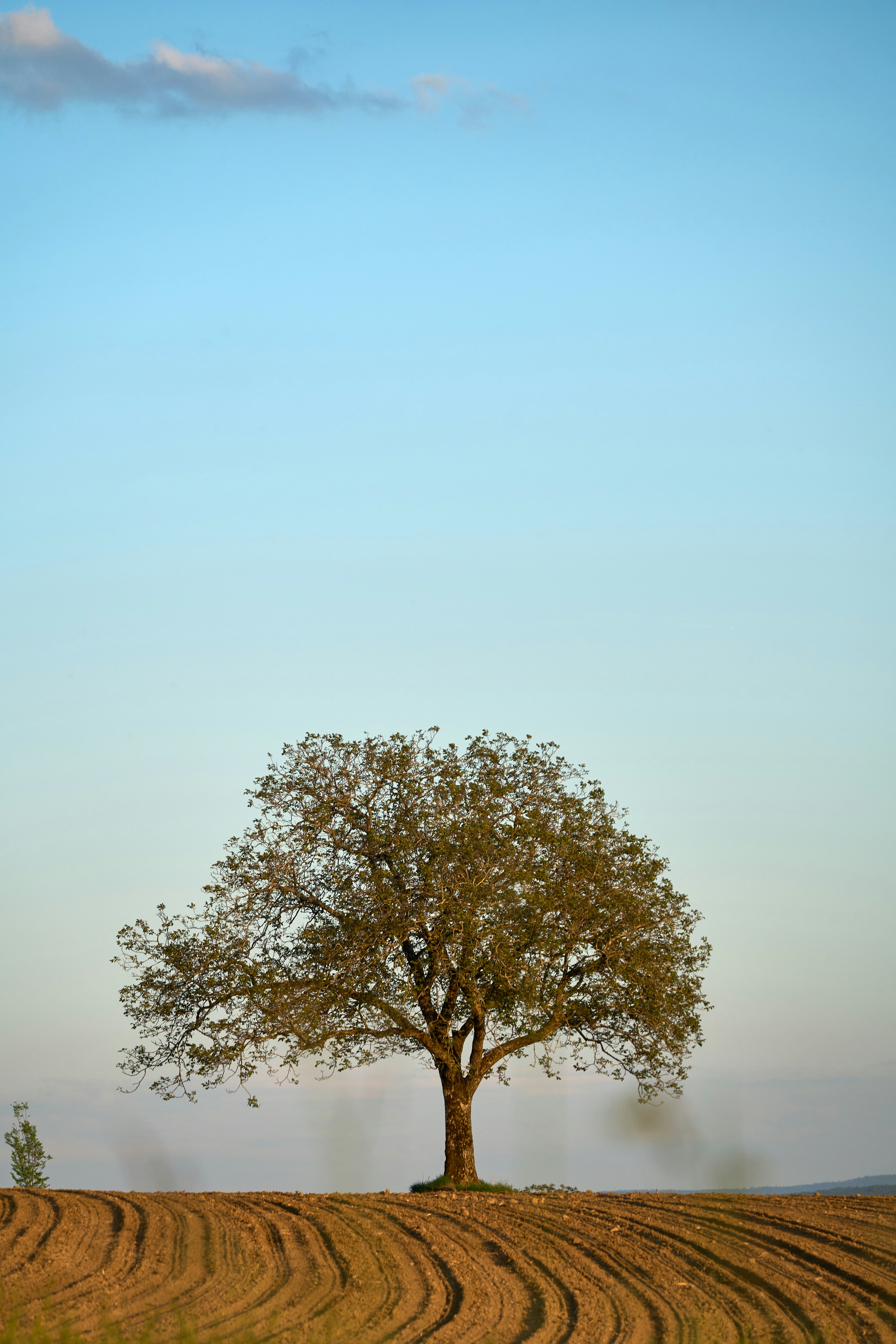 Photo by wolfgang_hasselmann