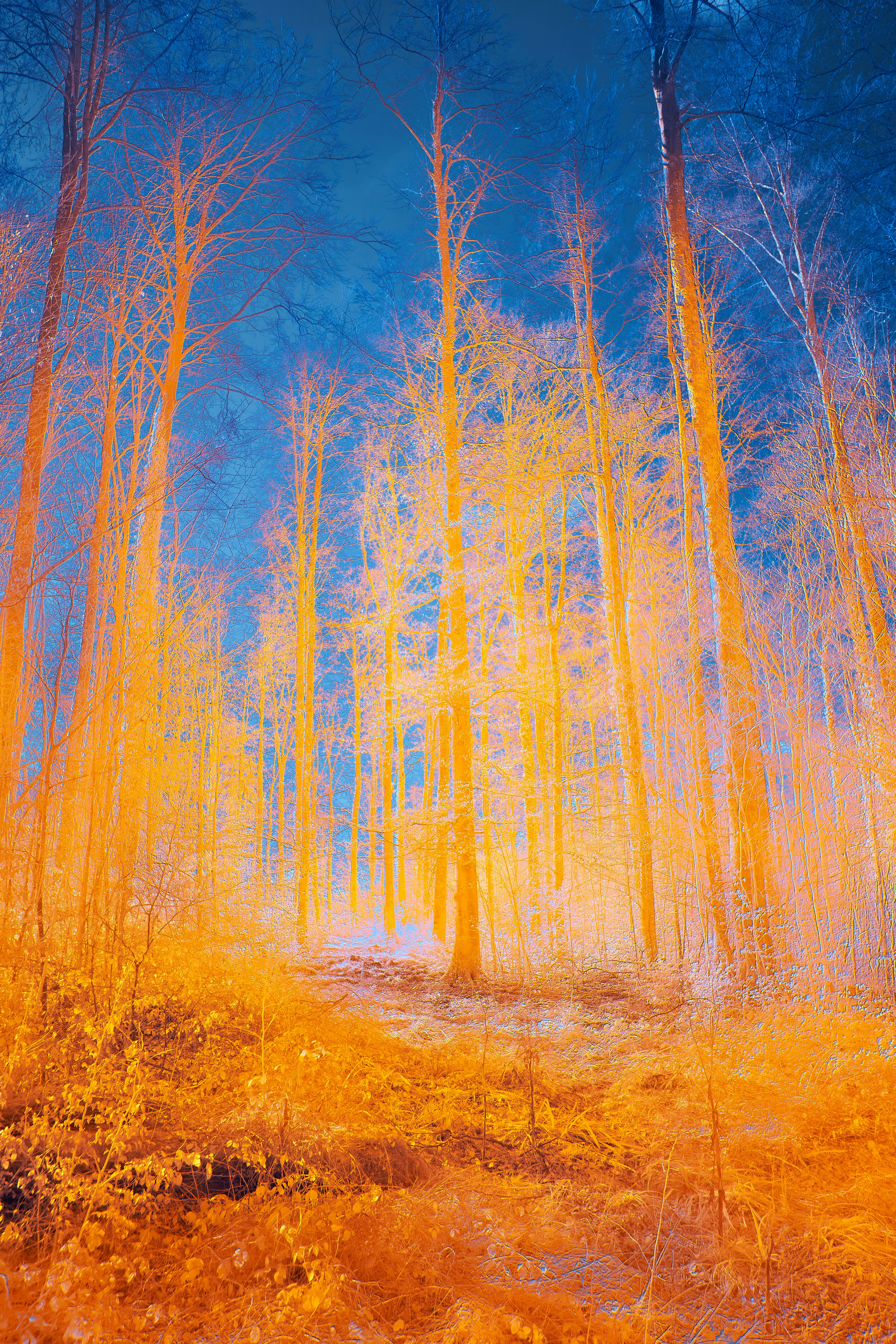 Photo by wolfgang_hasselmann