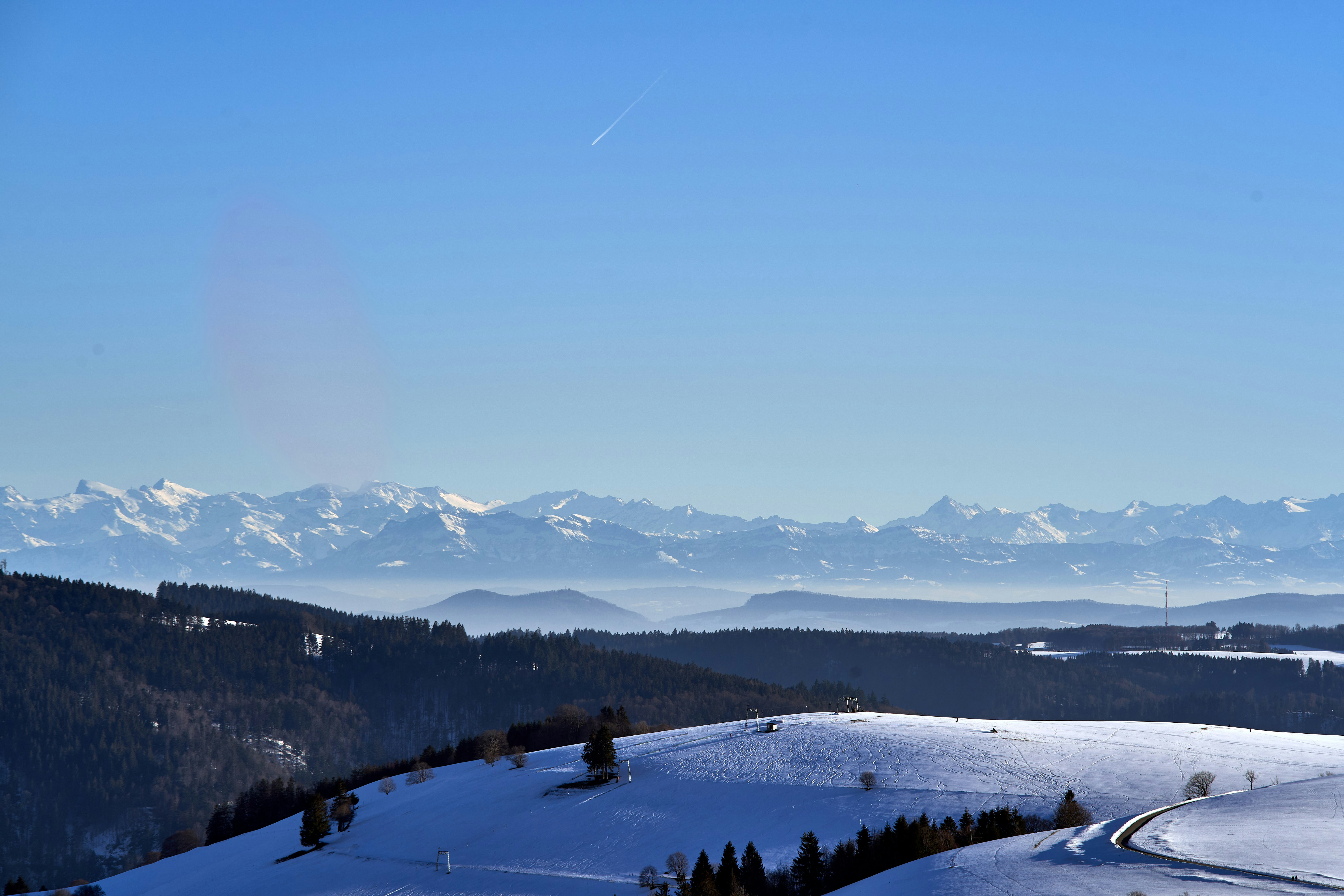 Photo by wolfgang_hasselmann